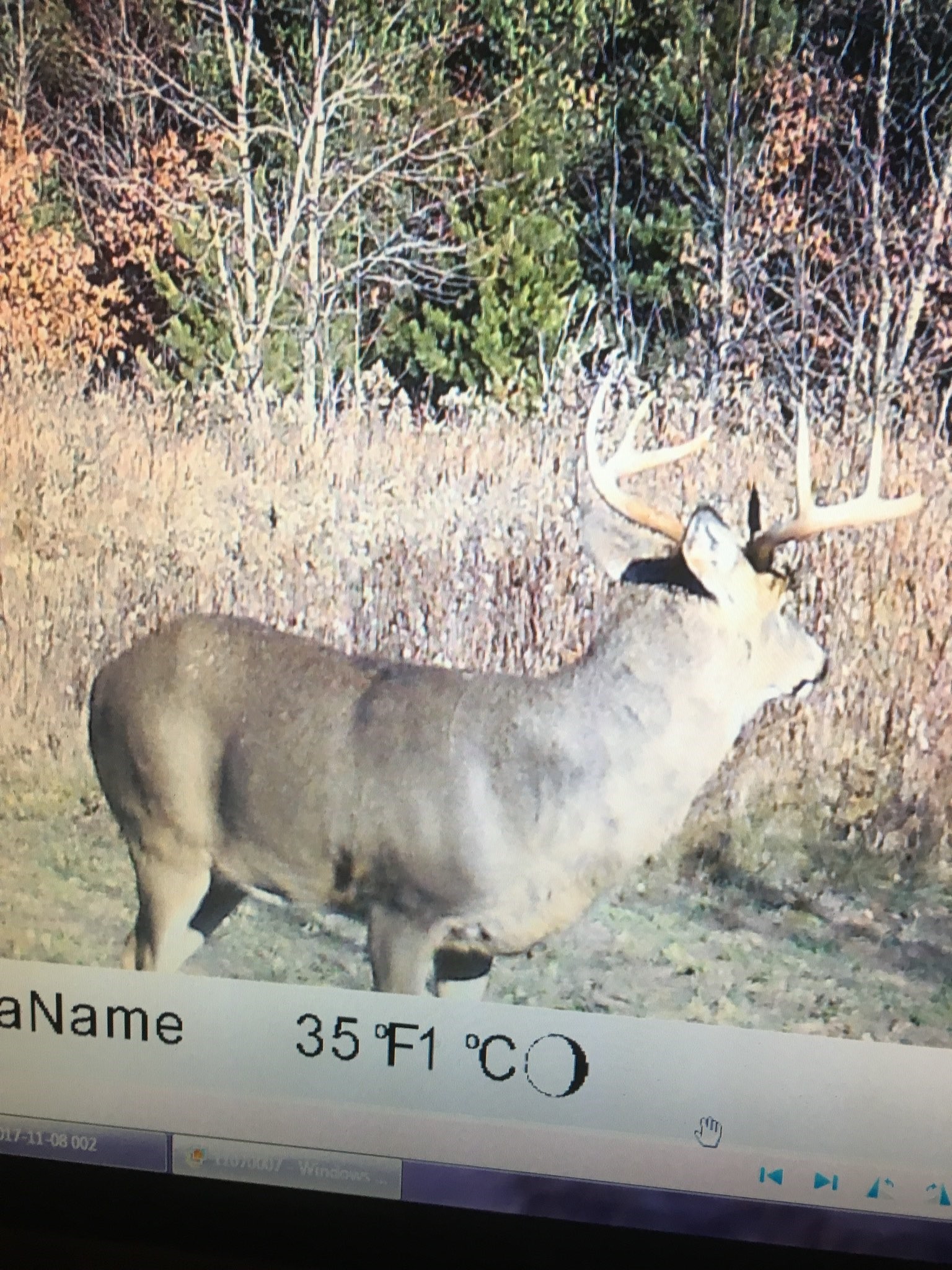 Xxx Bashaw Store Road Property Photo 38