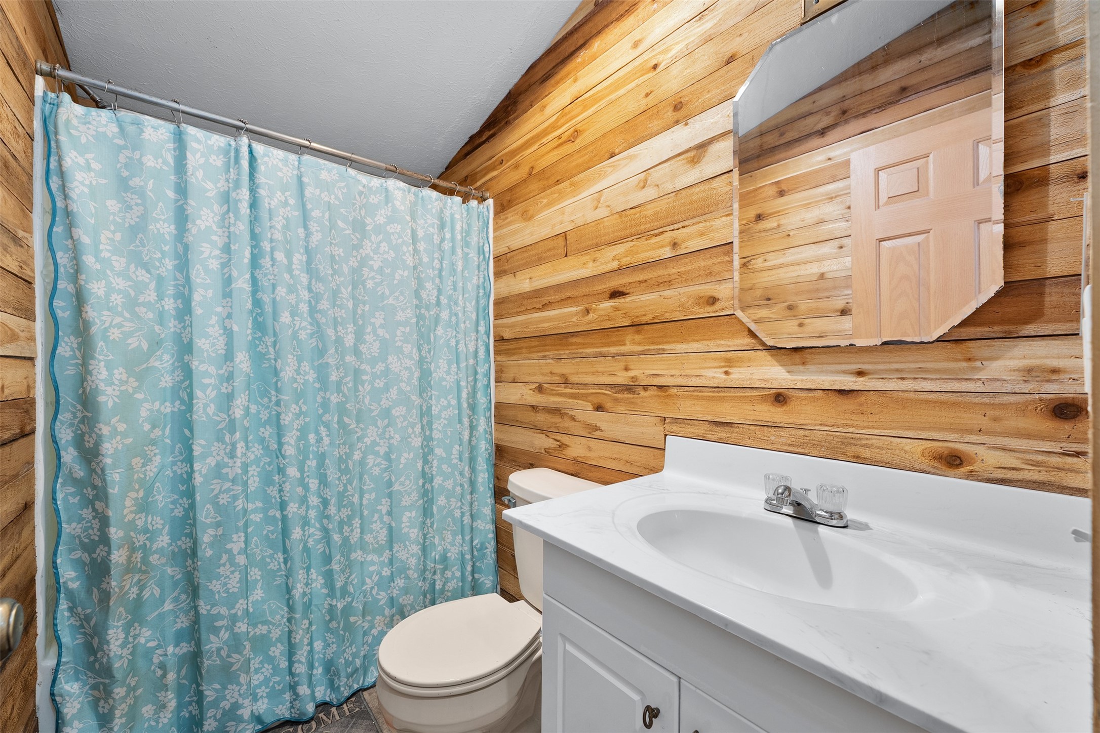 17028 W State Highway 64 Property Photo 22
