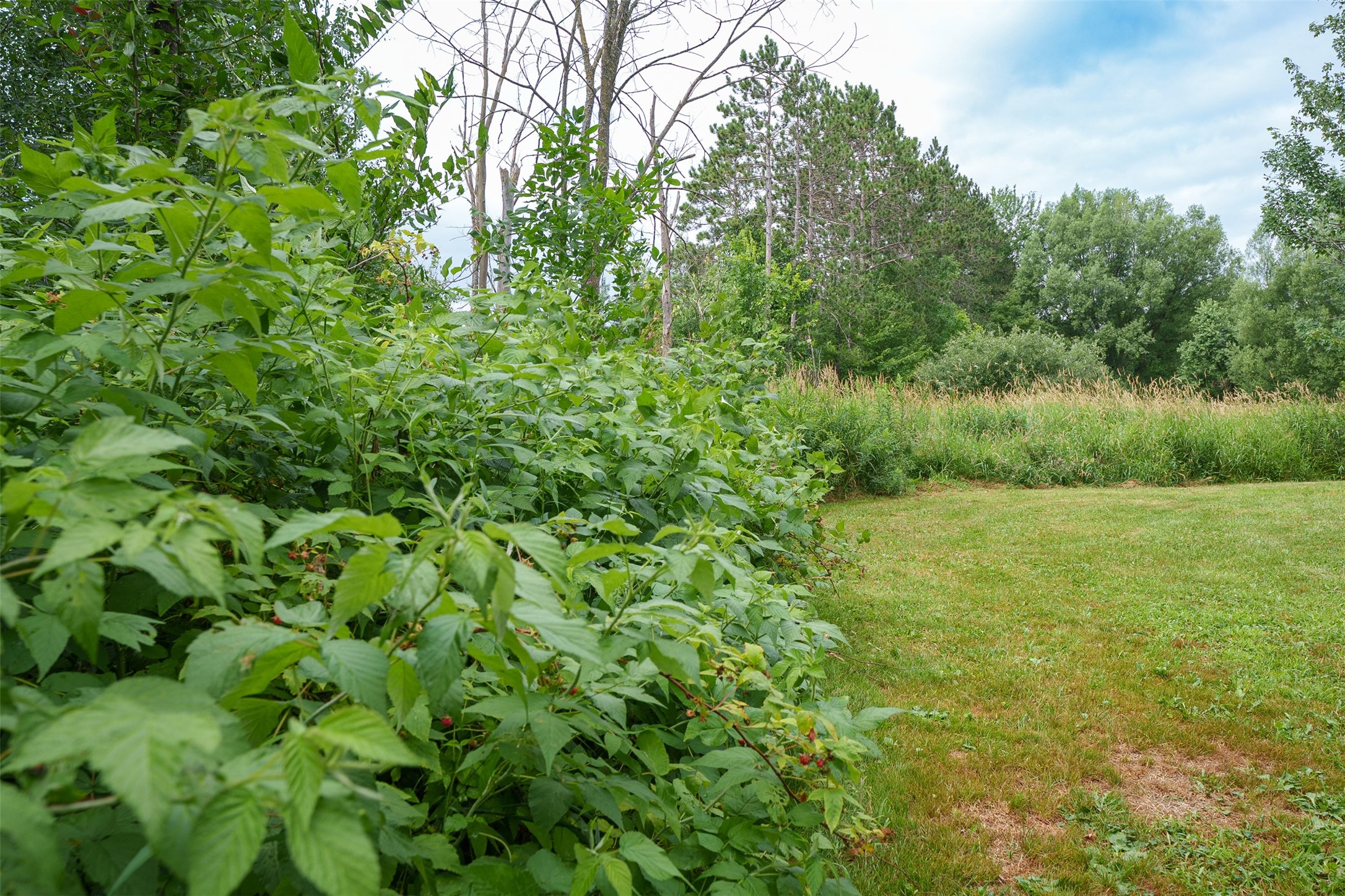 17028 W State Highway 64 Property Photo 33