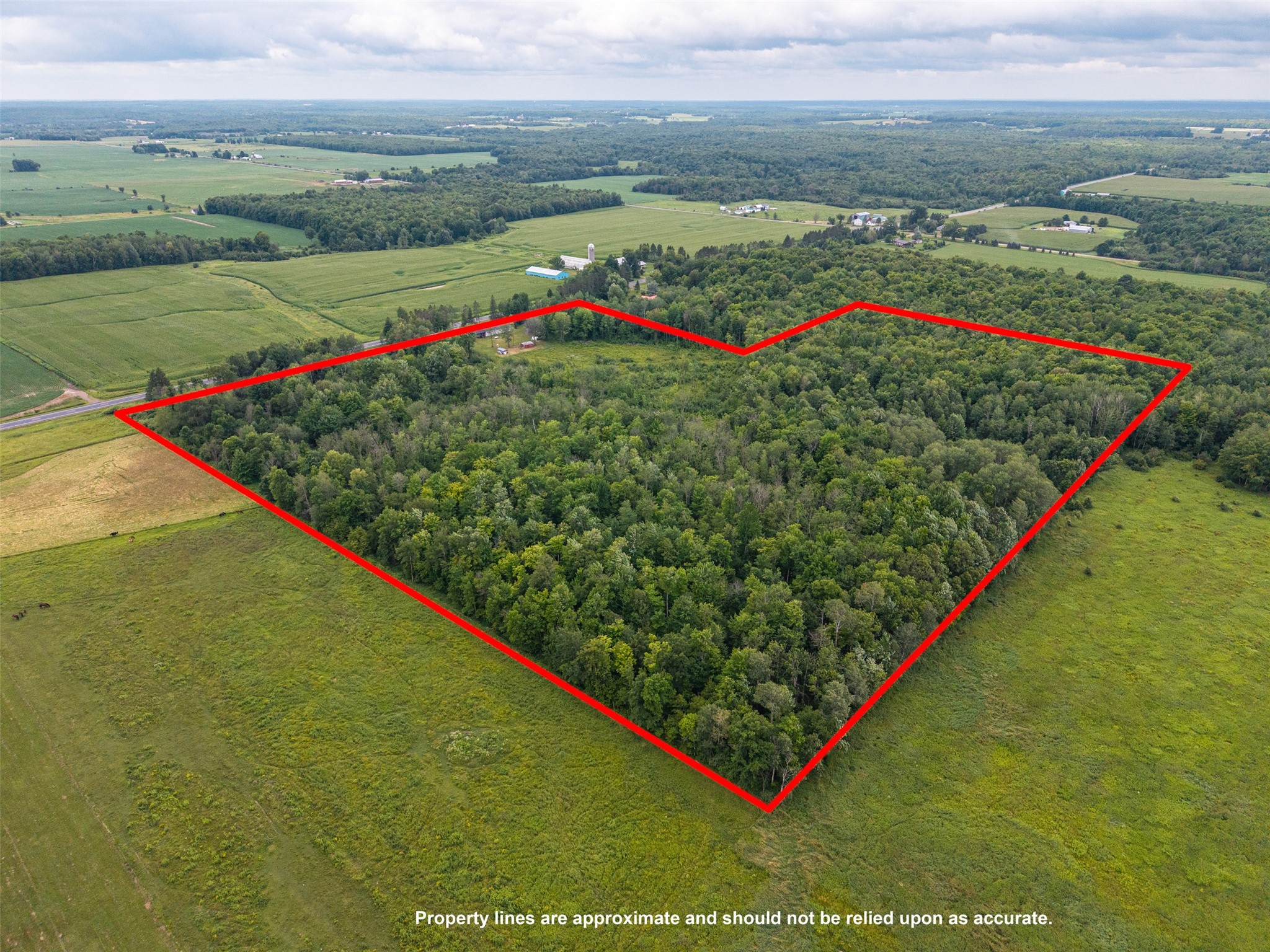 17028 W State Highway 64 Property Photo 40
