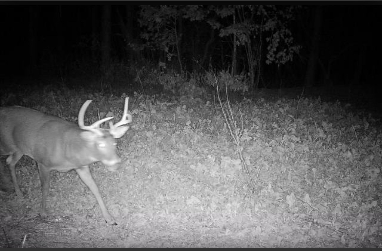 9007 County Highway N Property Photo 57