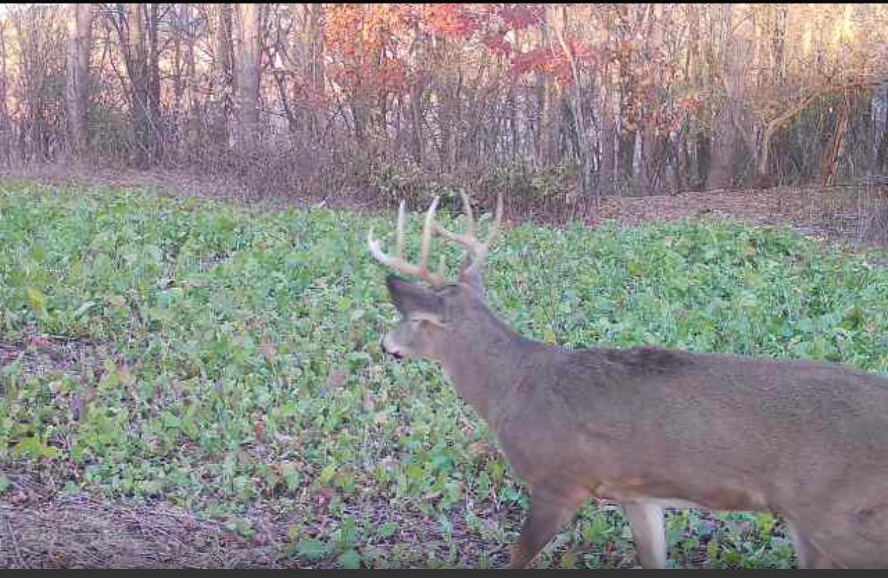 9007 County Highway N Property Photo 58
