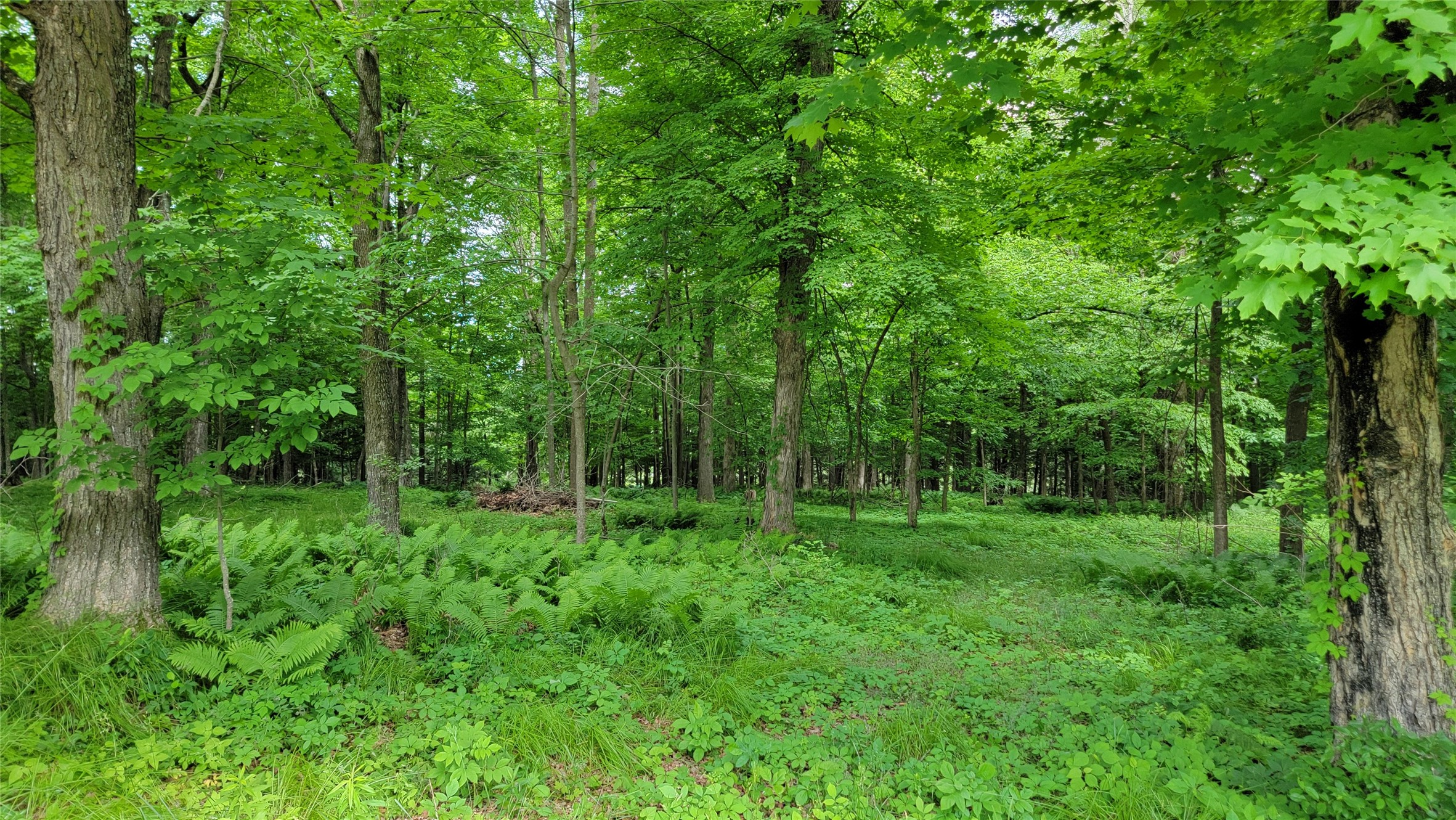 W7724 Bingham Road Property Photo 41