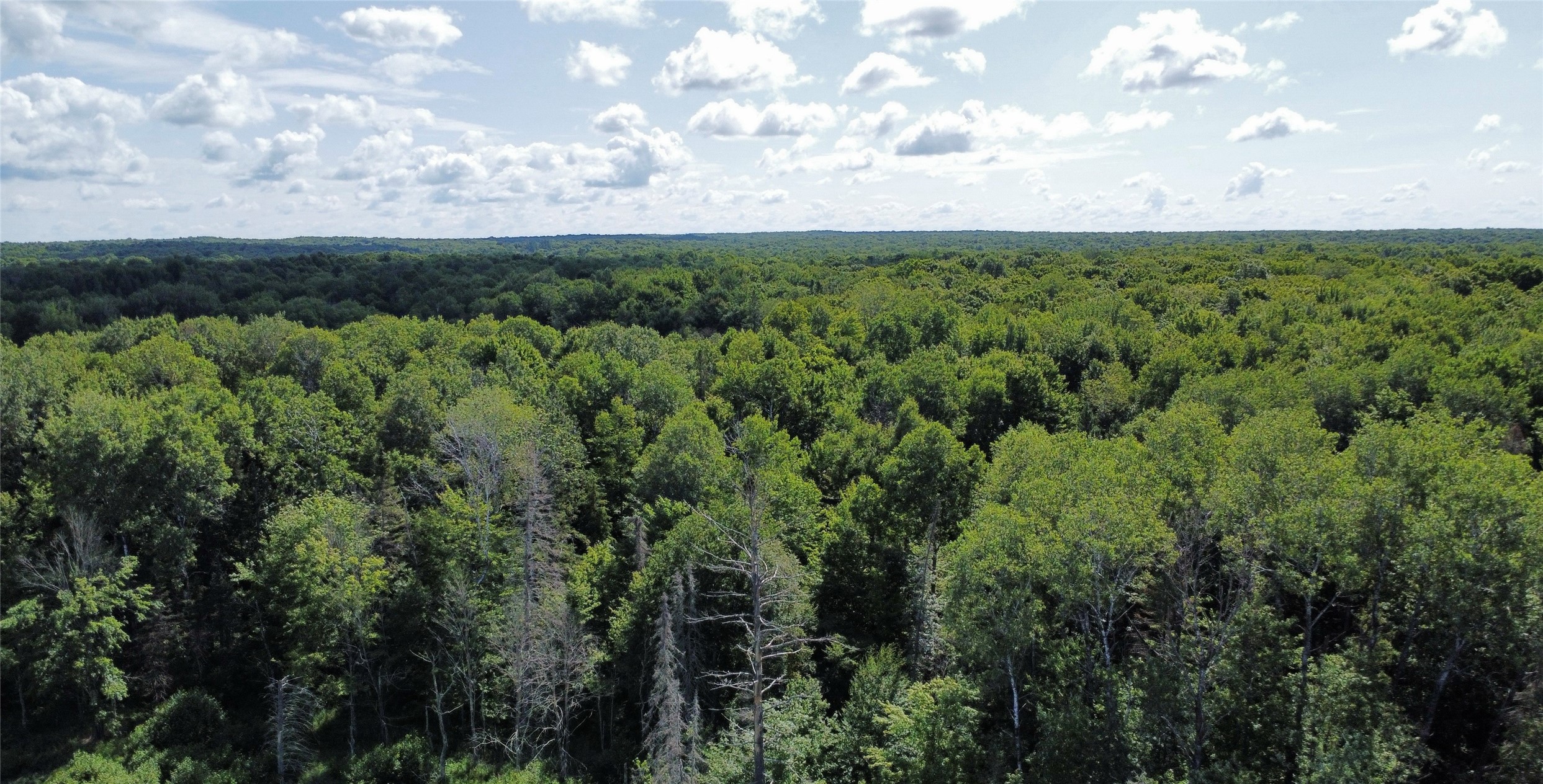 W10816 Bergman Road Property Photo 1