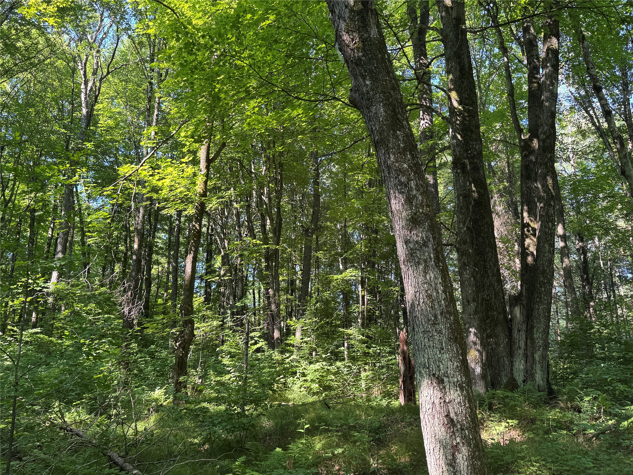 W10816 Bergman Road Property Photo 33