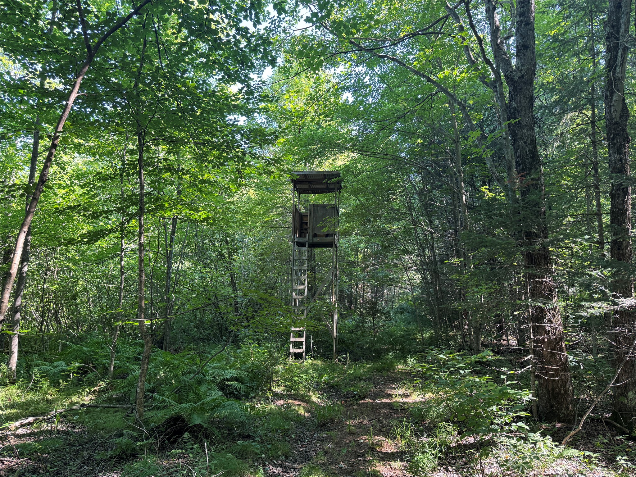 W10816 Bergman Road Property Photo 37