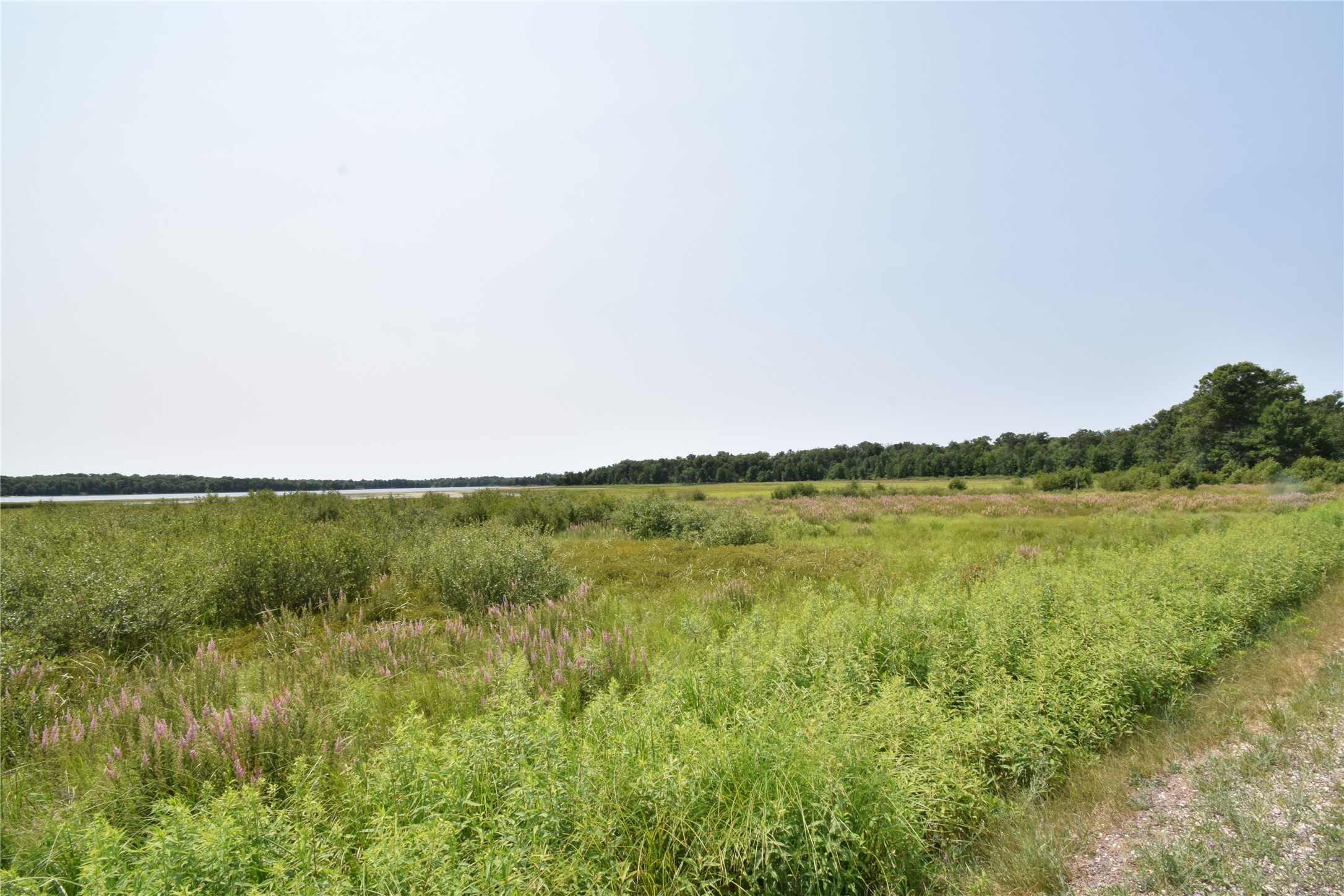 8533 N Bass Lake Road Property Photo 9