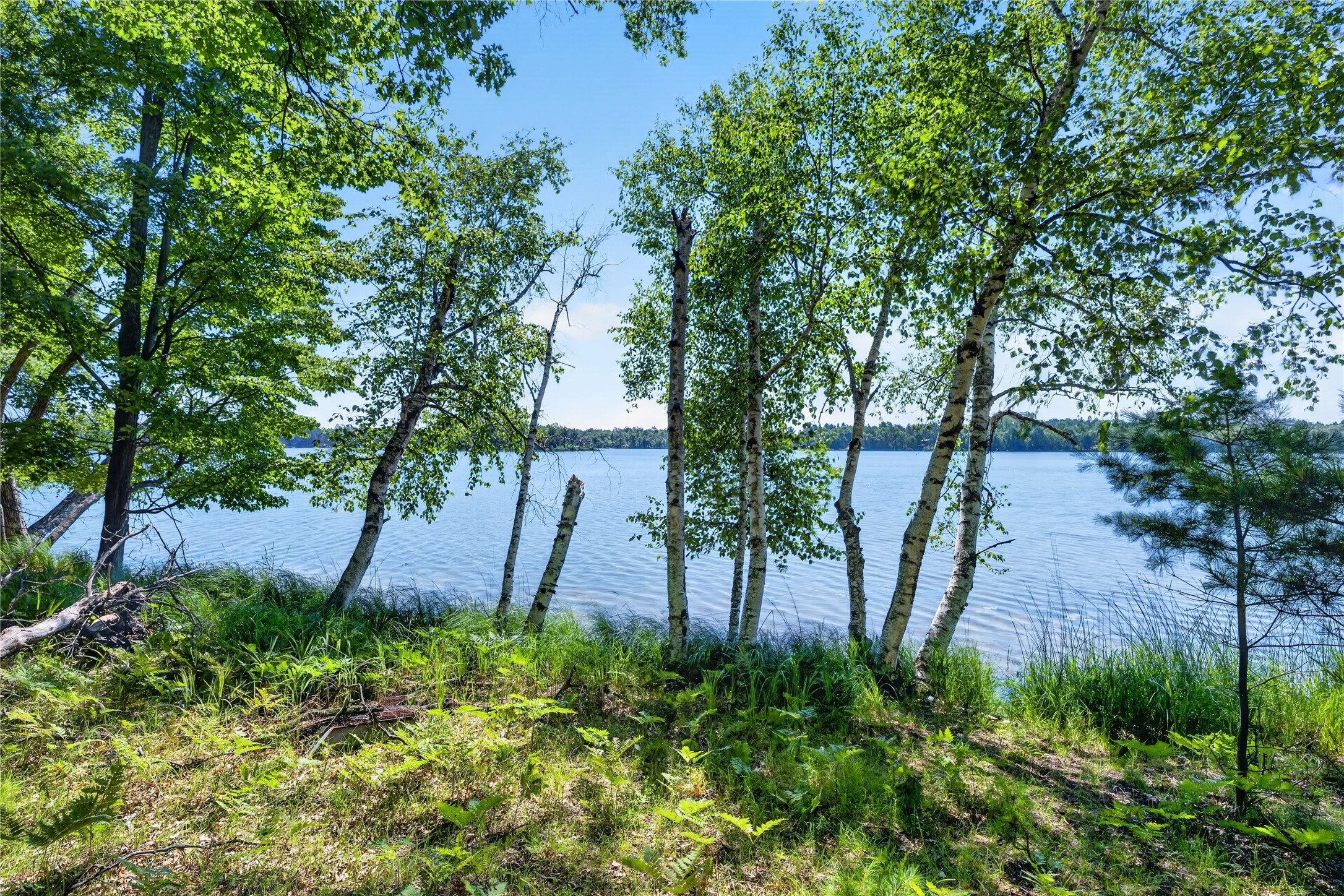 51260 Birch Lake Road Property Photo 1