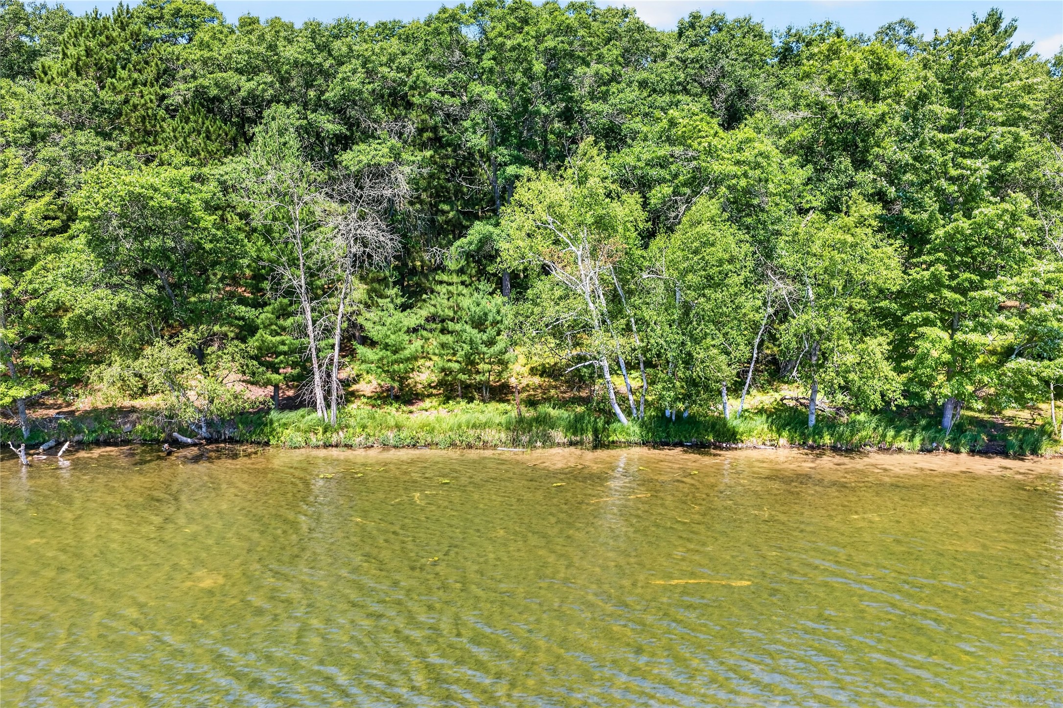 51260 Birch Lake Road Property Photo 10
