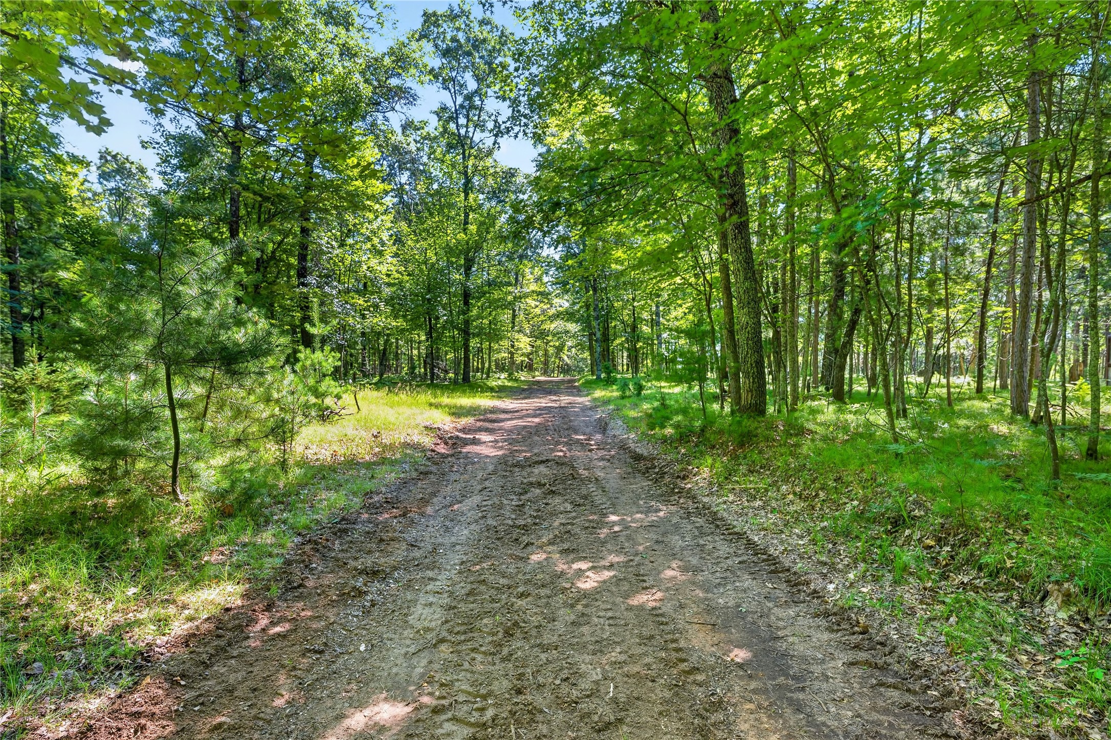 51260 Birch Lake Road Property Photo 13