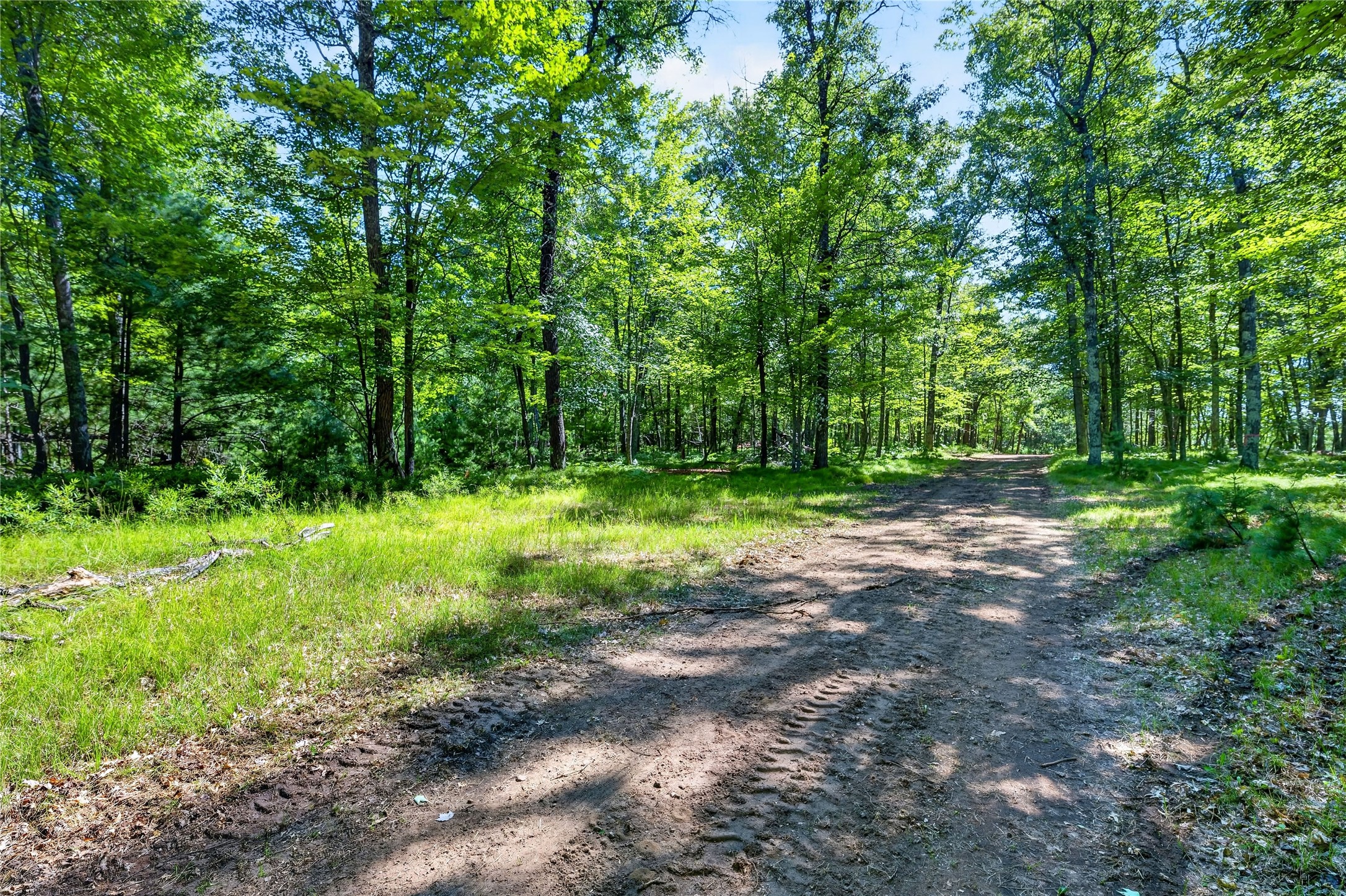 51260 Birch Lake Road Property Photo 14