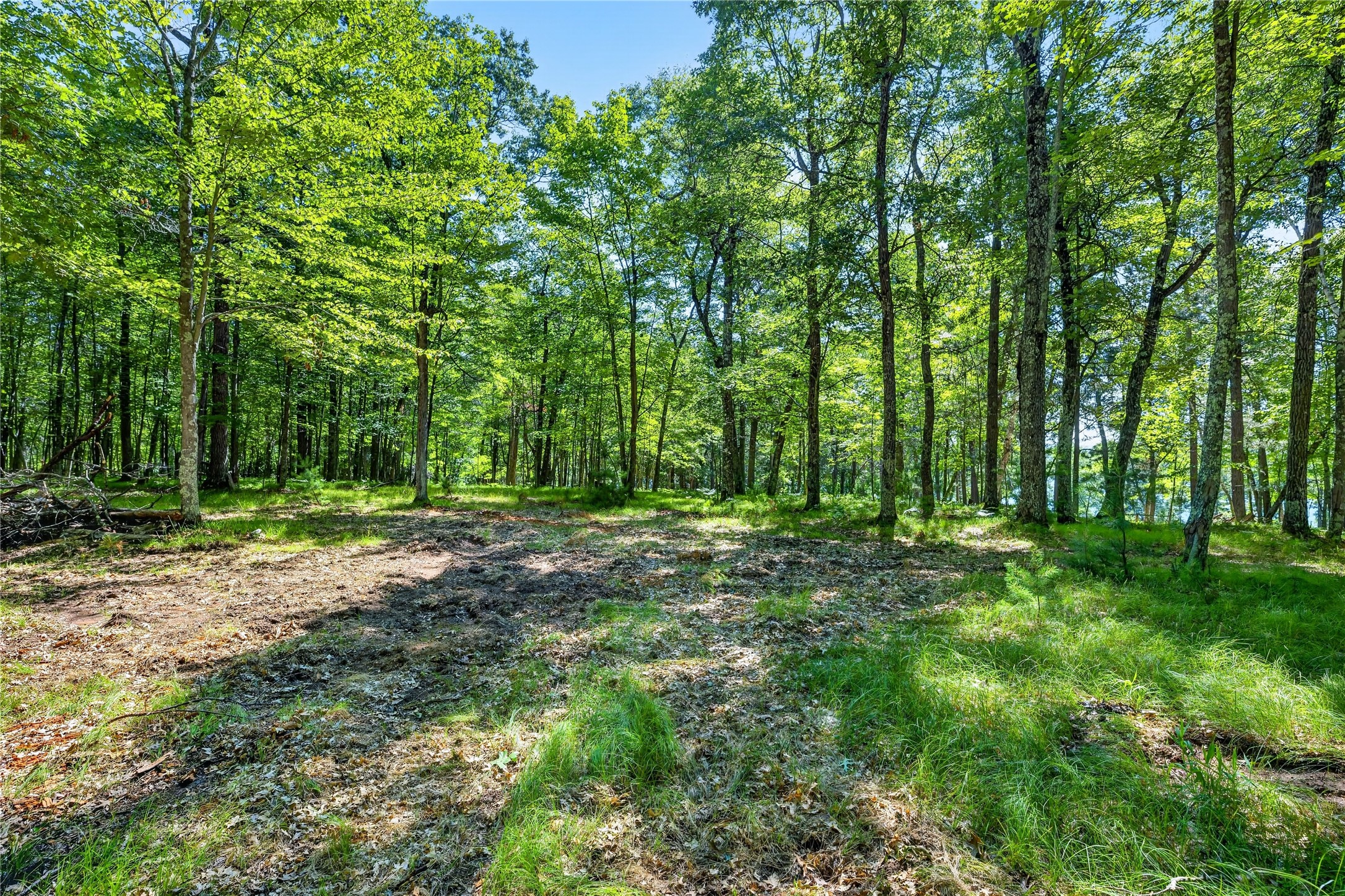 51260 Birch Lake Road Property Photo 15
