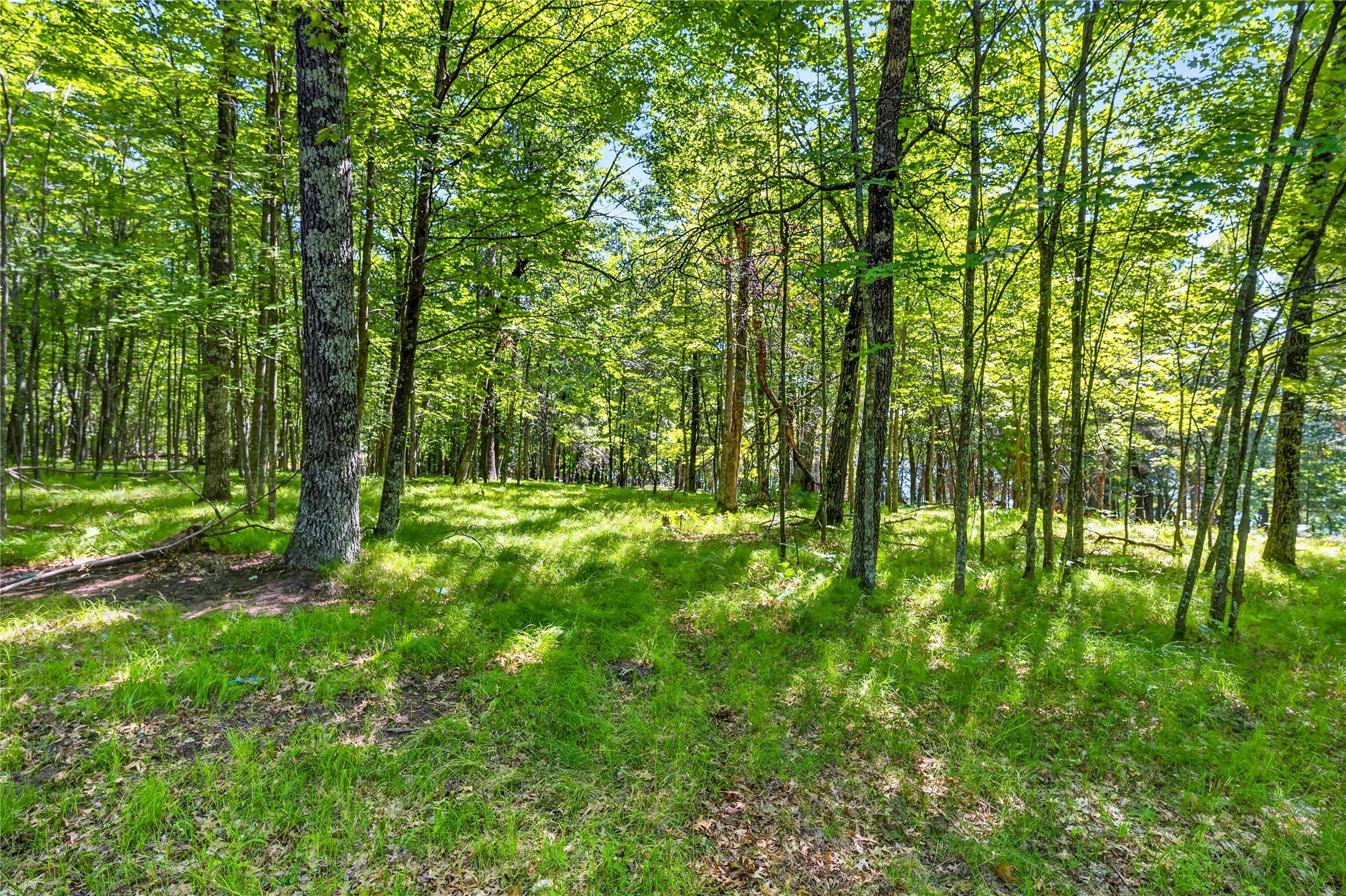 51260 Birch Lake Road Property Photo 16