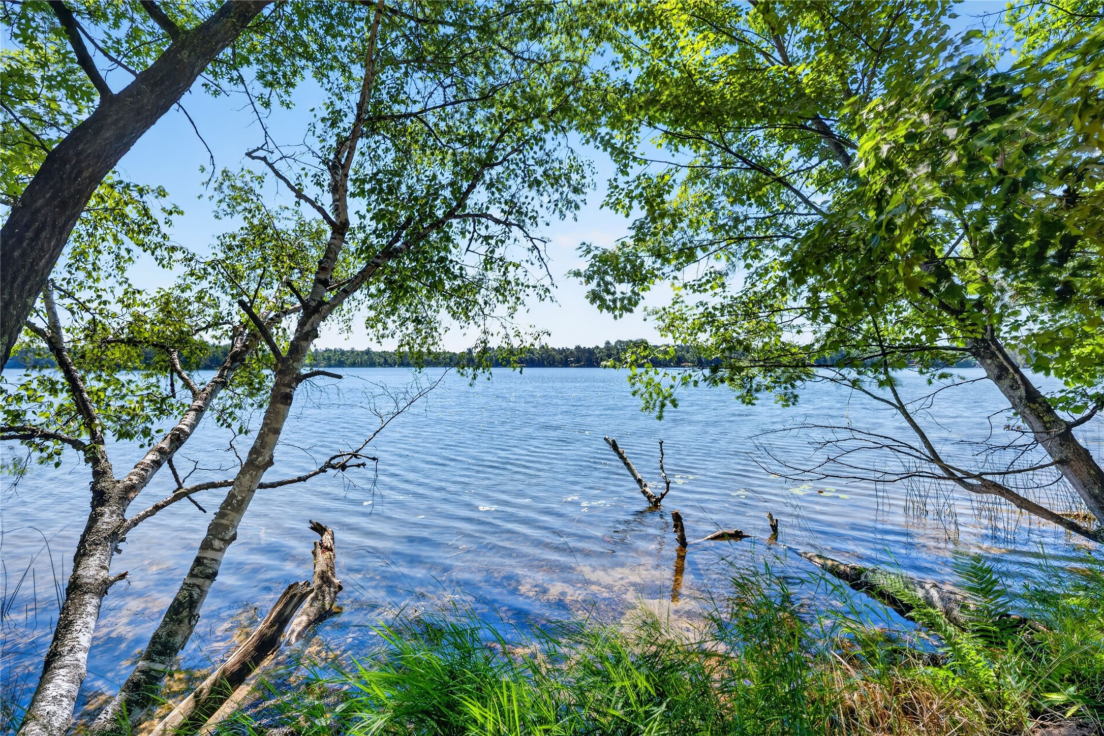 51260 Birch Lake Road Property Photo 21