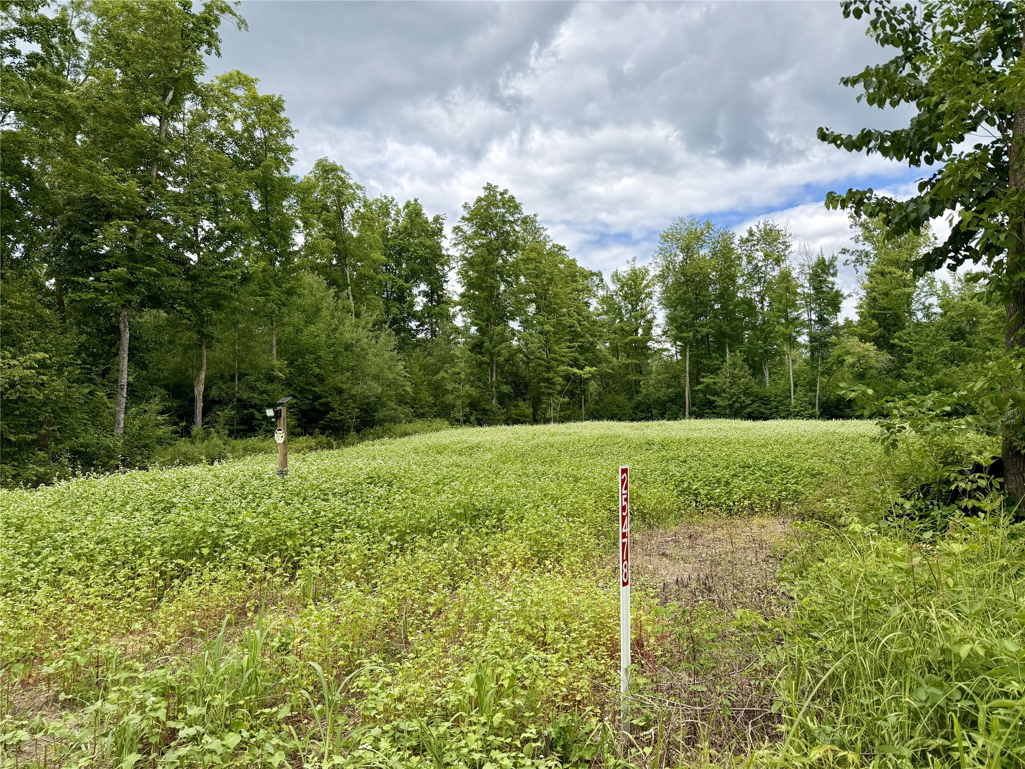 25478 185th Avenue Property Photo 1