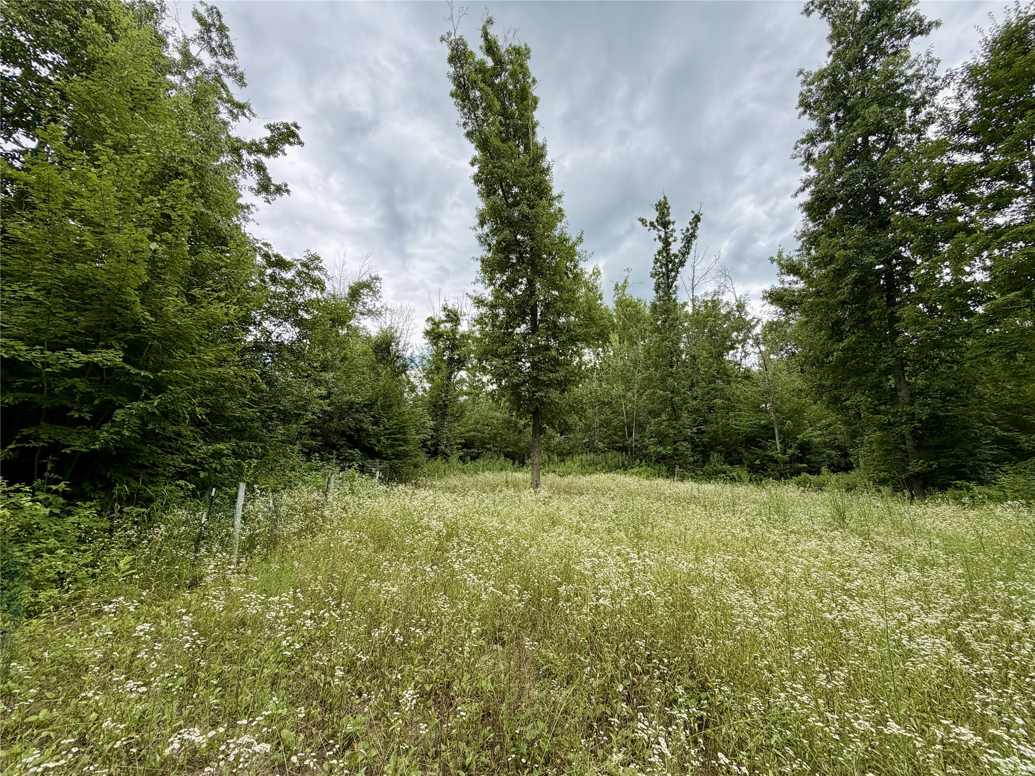 25478 185th Avenue Property Photo 18