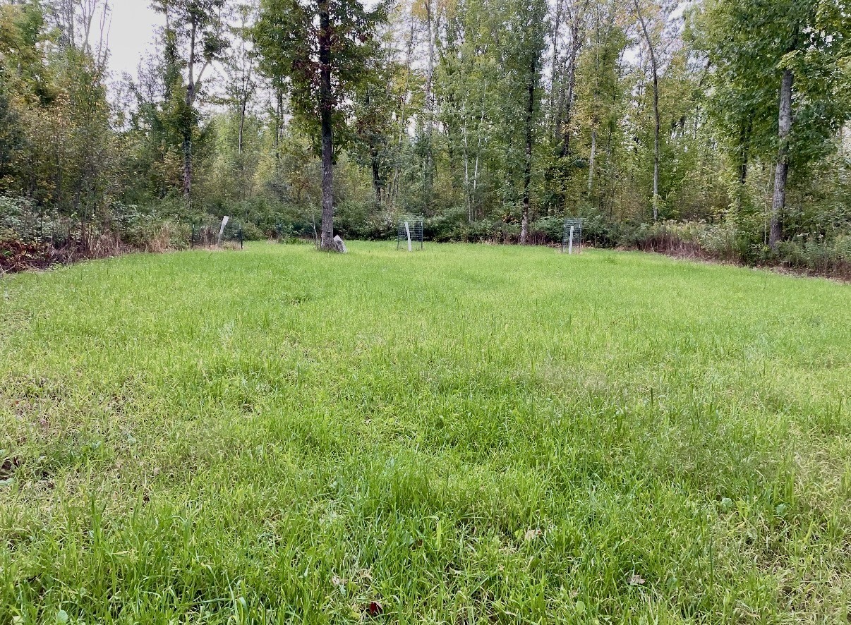 25478 185th Avenue Property Photo 39