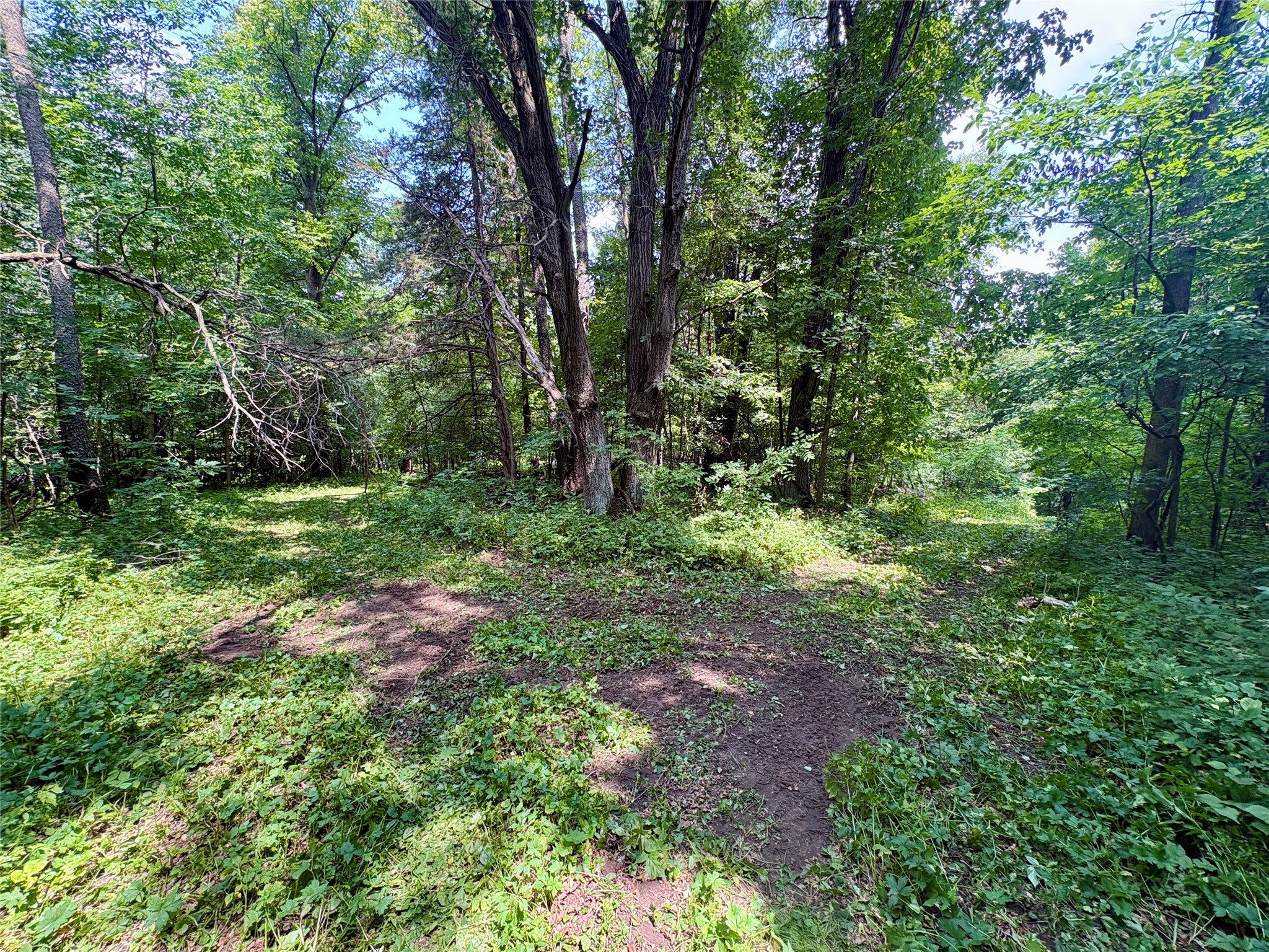 000 160th Avenue Property Photo 15
