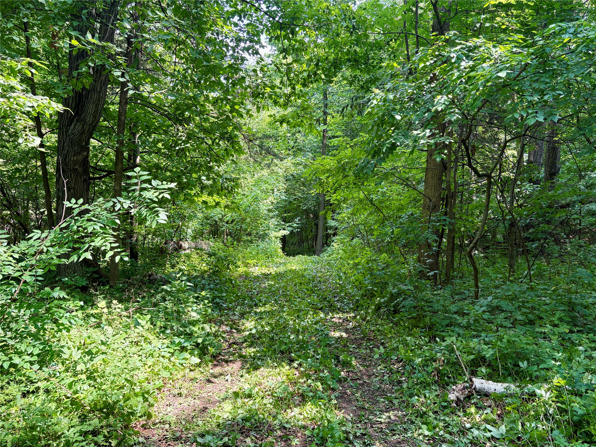 000 160th Avenue Property Photo 16
