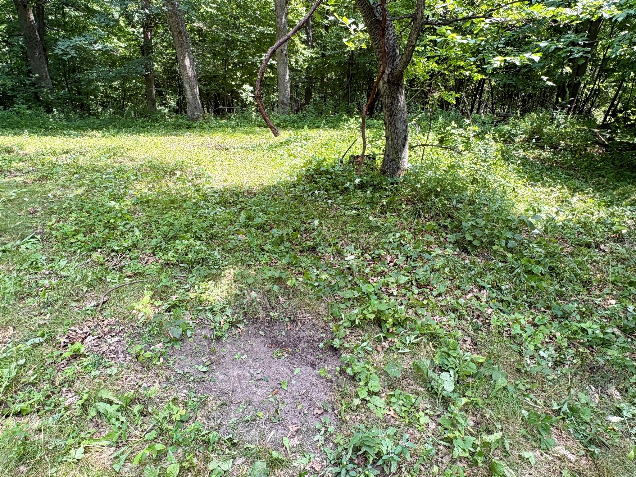 000 160th Avenue Property Photo 31