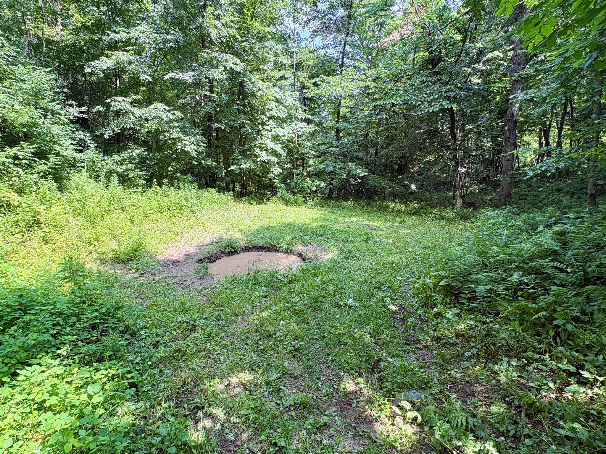 000 160th Avenue Property Photo 35