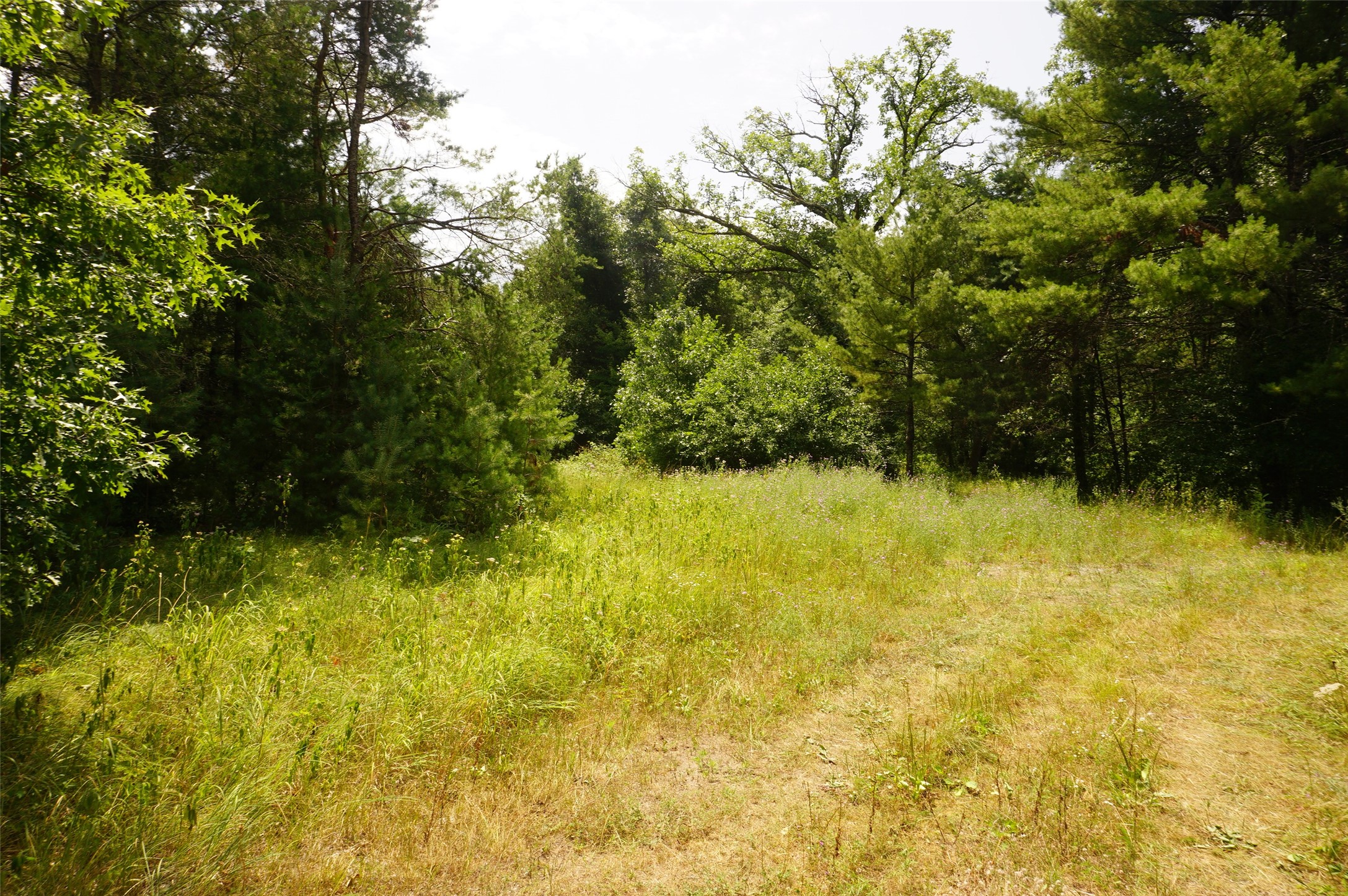 N9105 Flood Road Property Photo 1