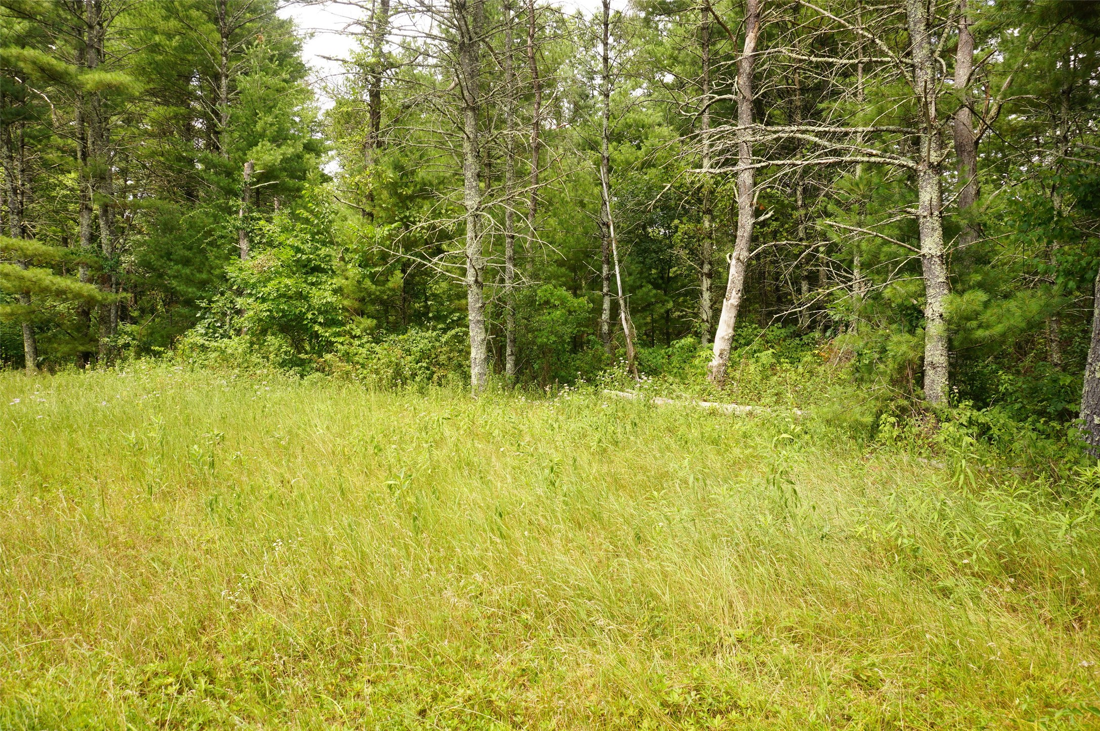 N9105 Flood Road Property Photo 9