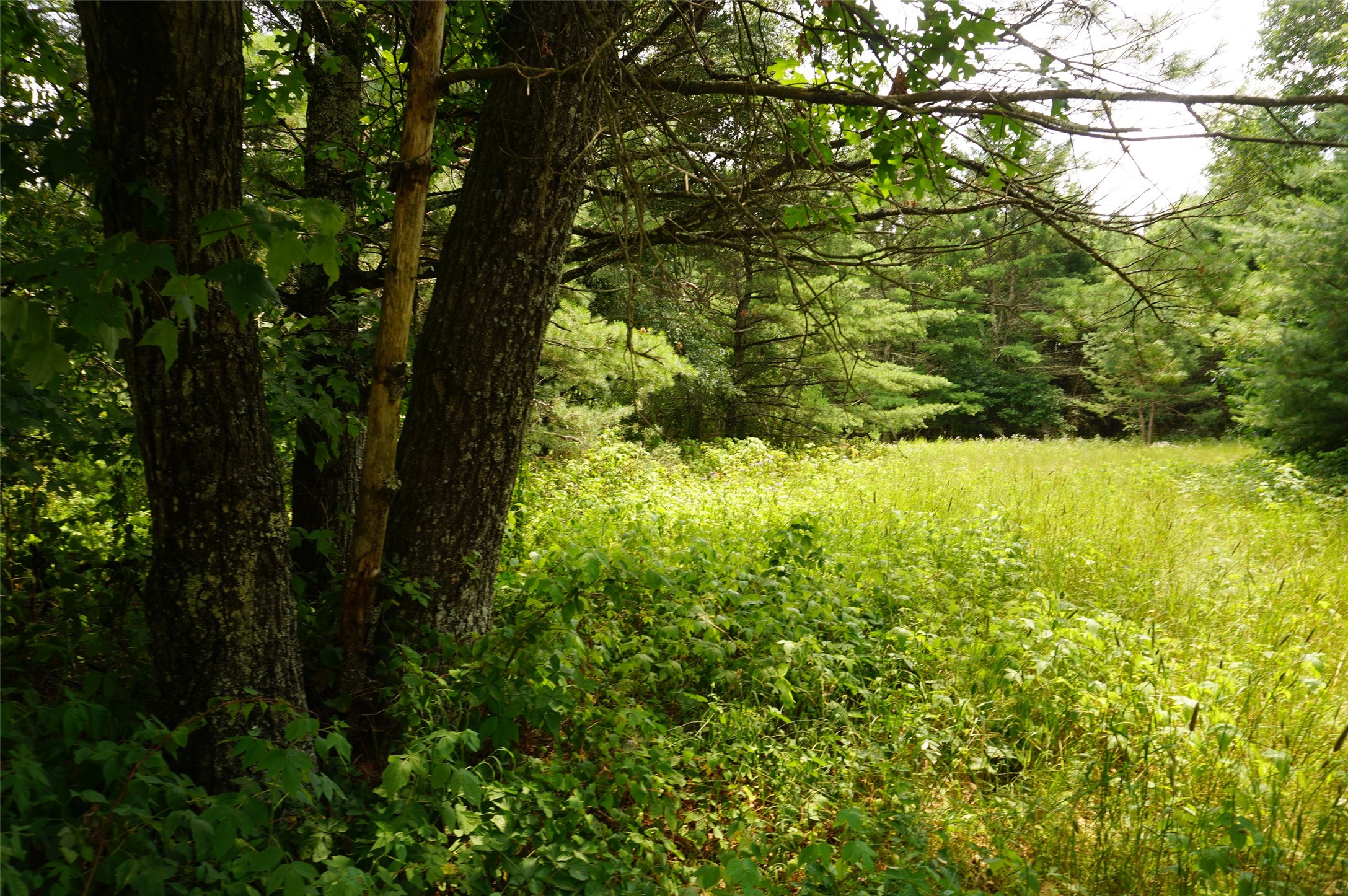 N9105 Flood Road Property Photo 10