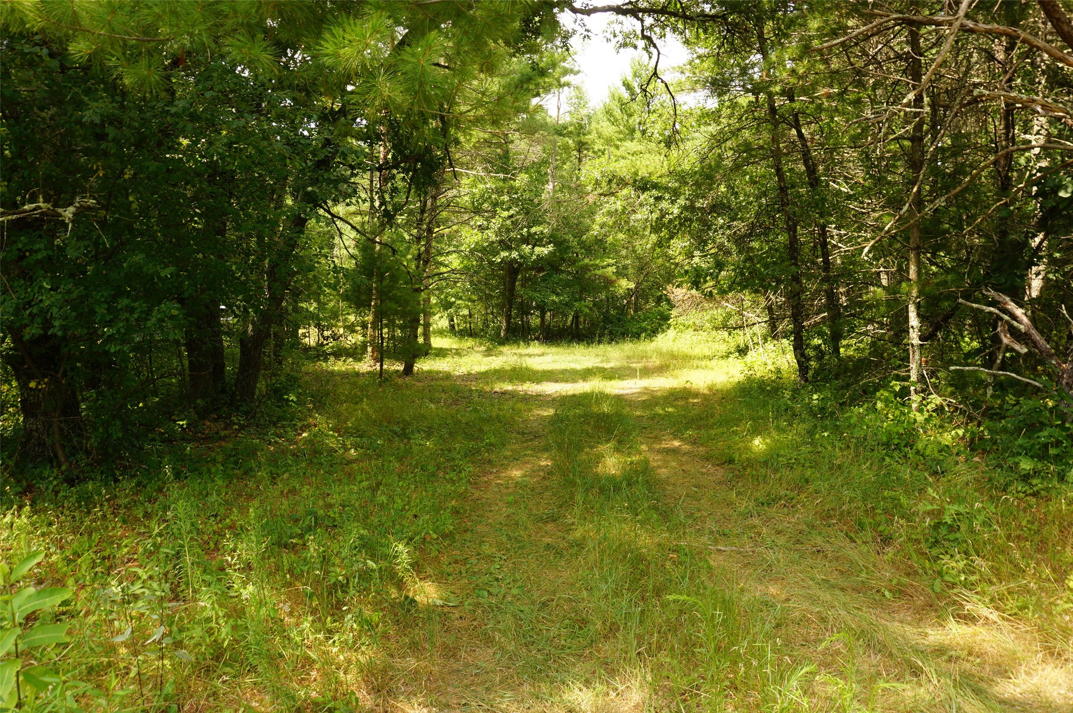 N9105 Flood Road Property Photo 11