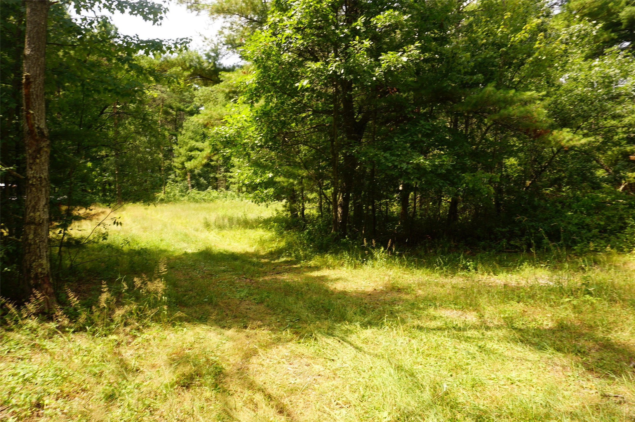 N9105 Flood Road Property Photo 12