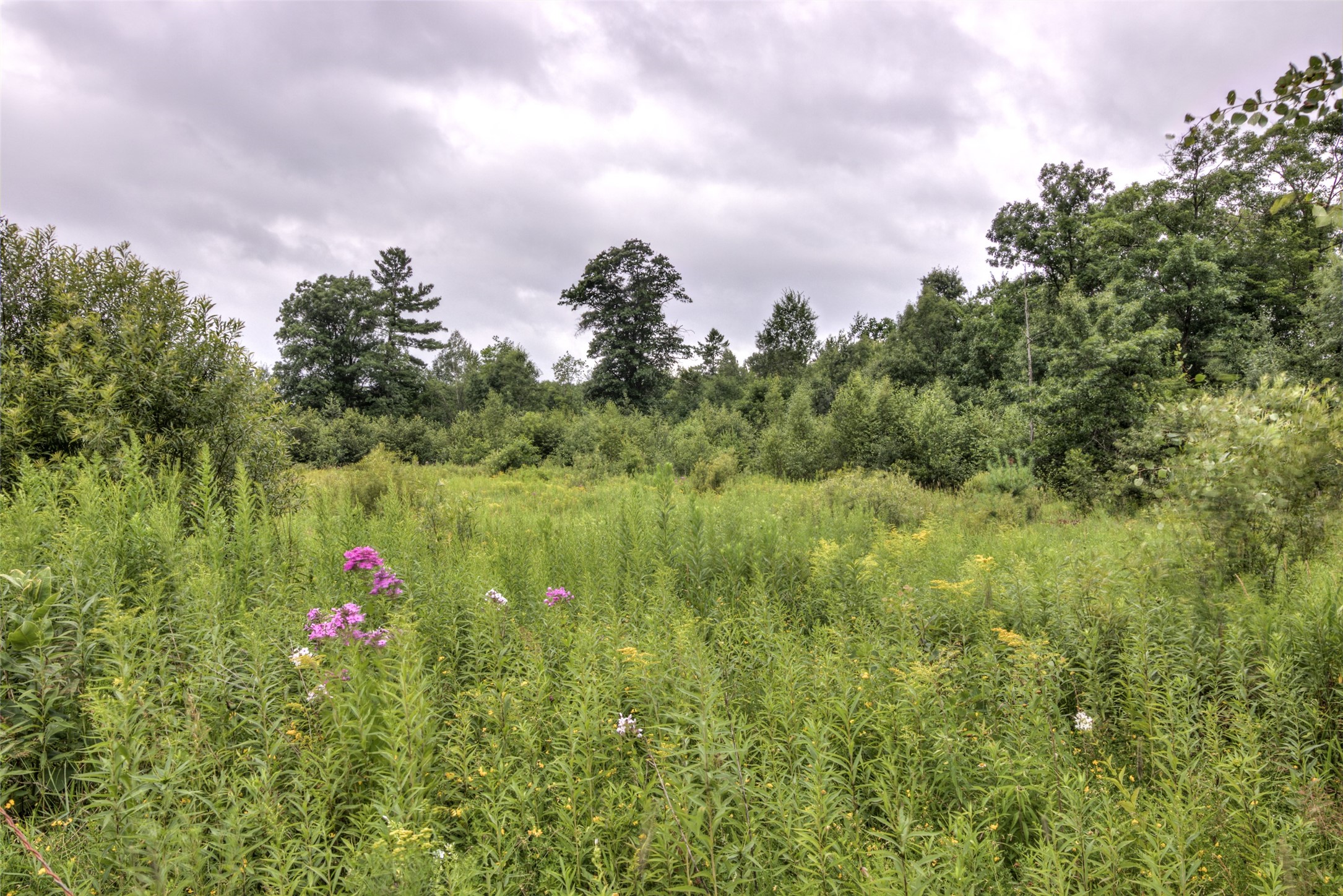4825 N Taylor Road Property Photo 55