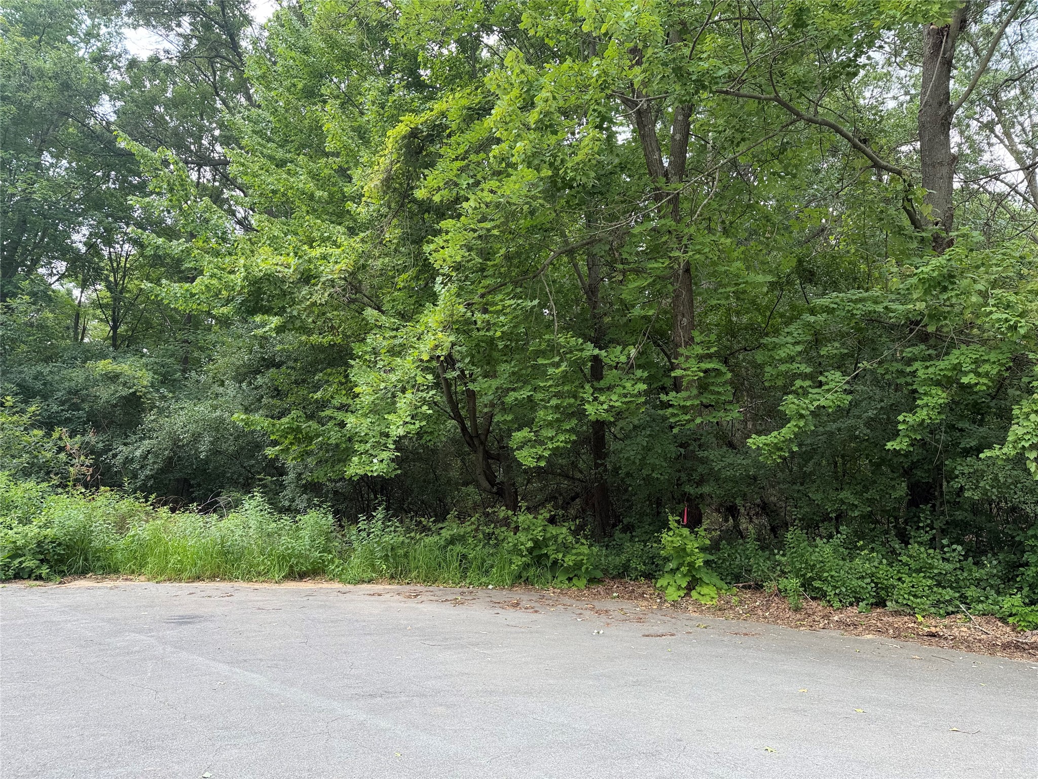 Lots 19 & 20 449th Street Property Photo 3