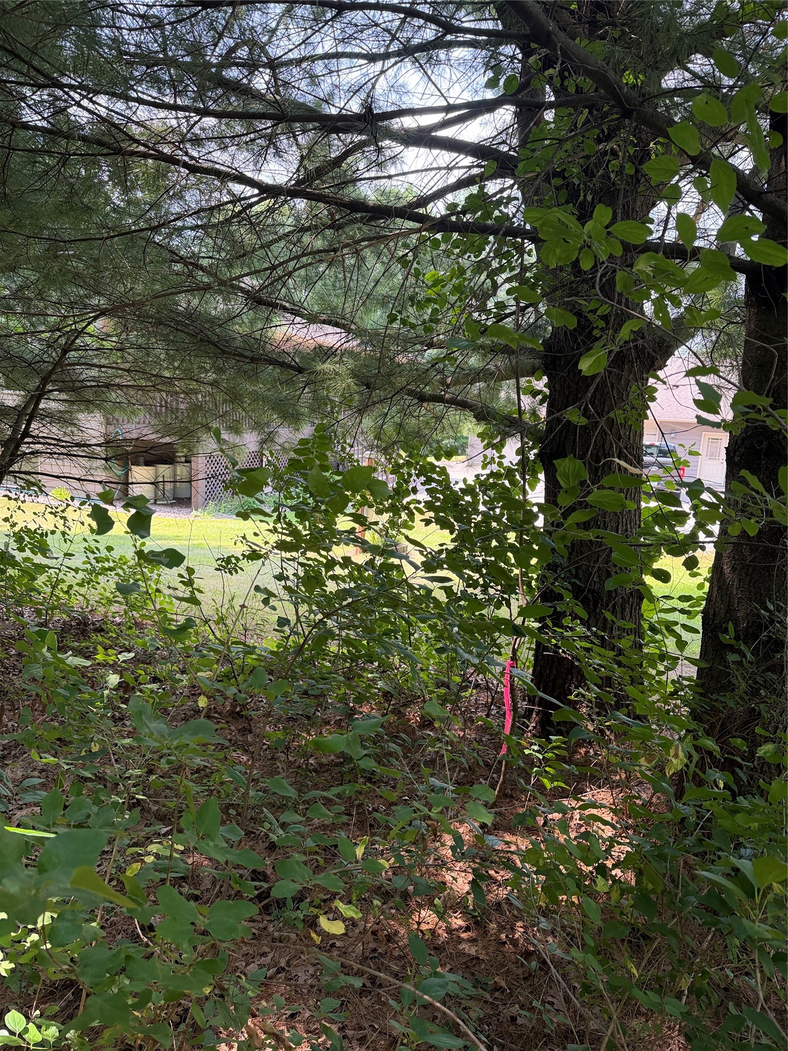 Lots 19 & 20 449th Street Property Photo 6