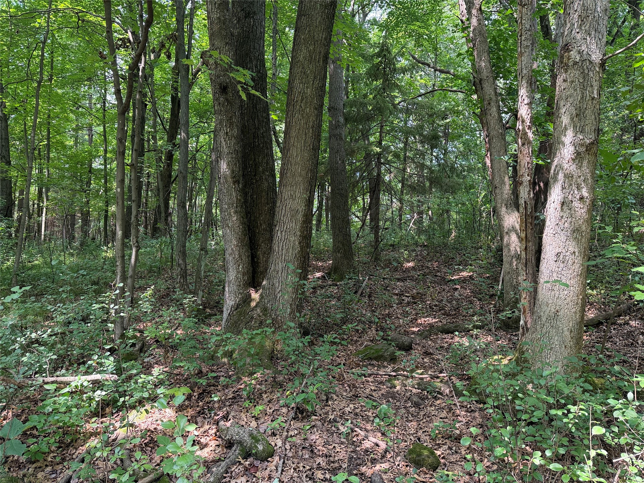Lots 19 & 20 449th Street Property Photo 8