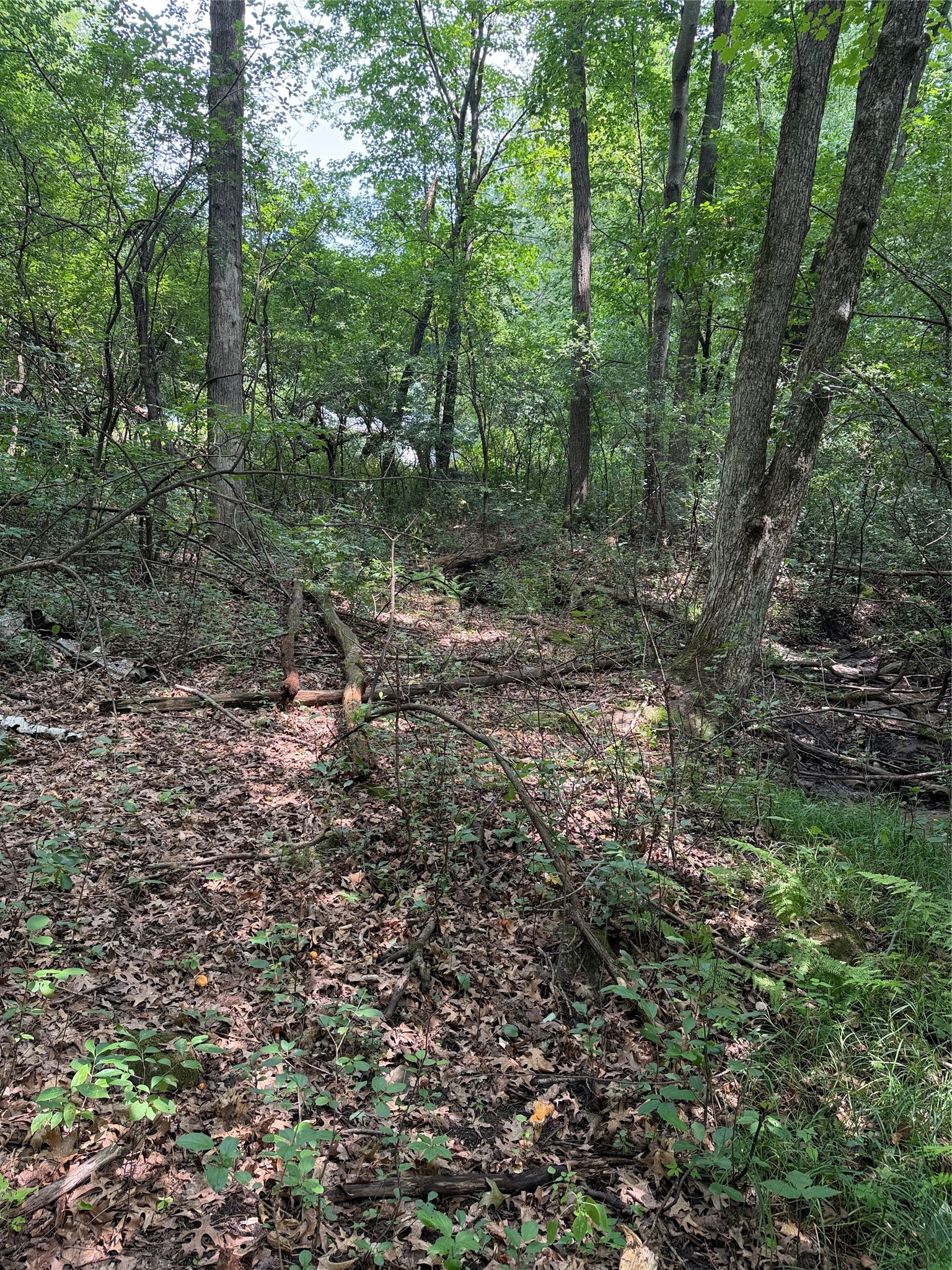 Lots 19 & 20 449th Street Property Photo 11