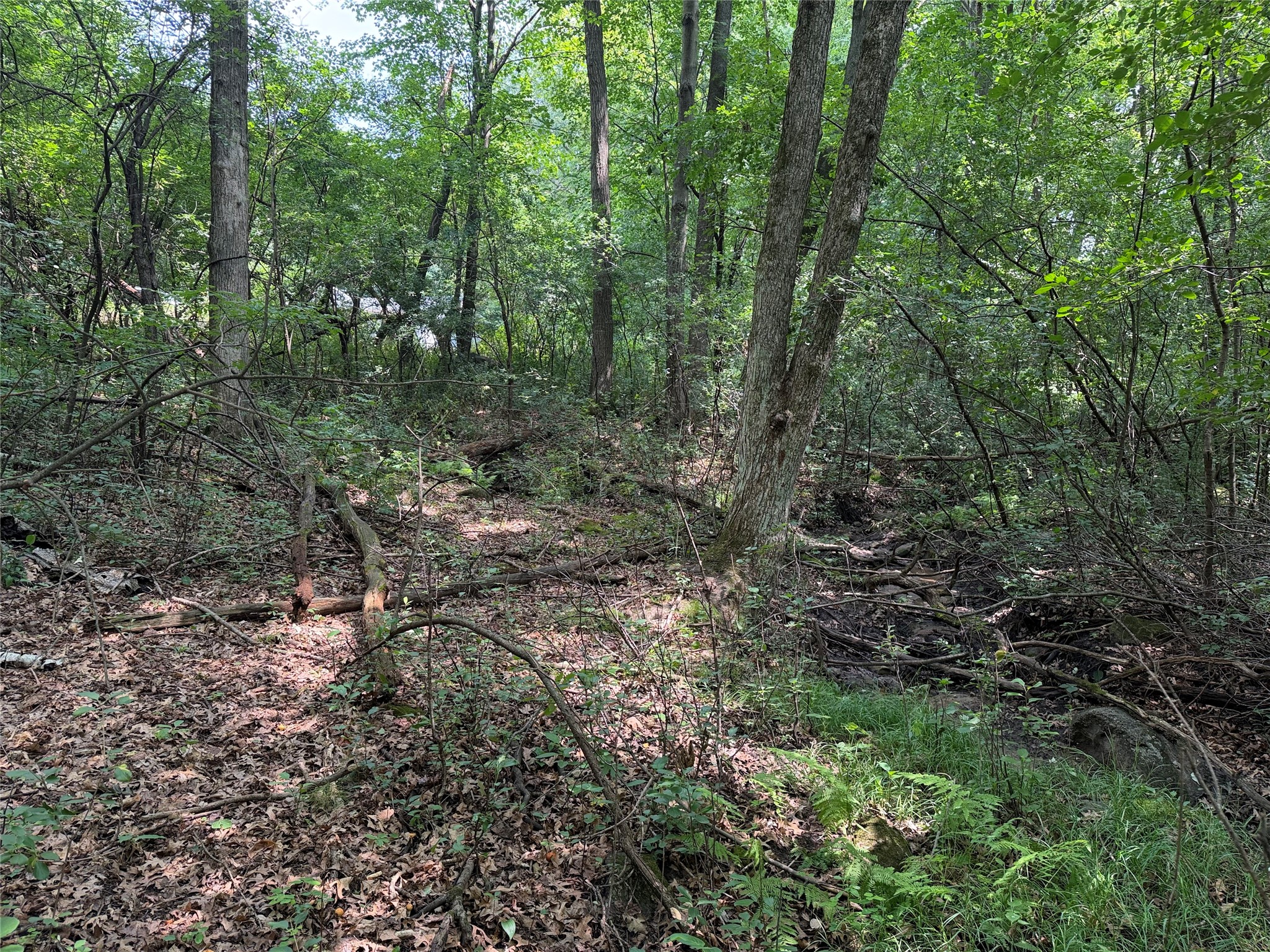 Lots 19 & 20 449th Street Property Photo 14