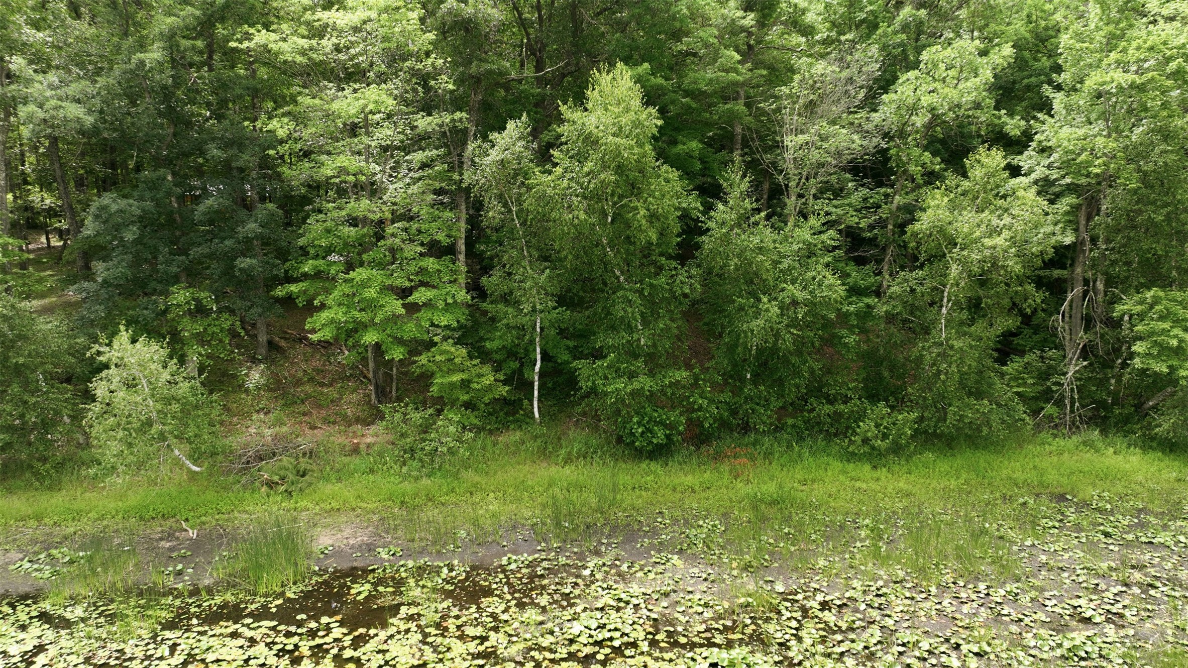 Lot 7 Peace Lane Property Photo 7