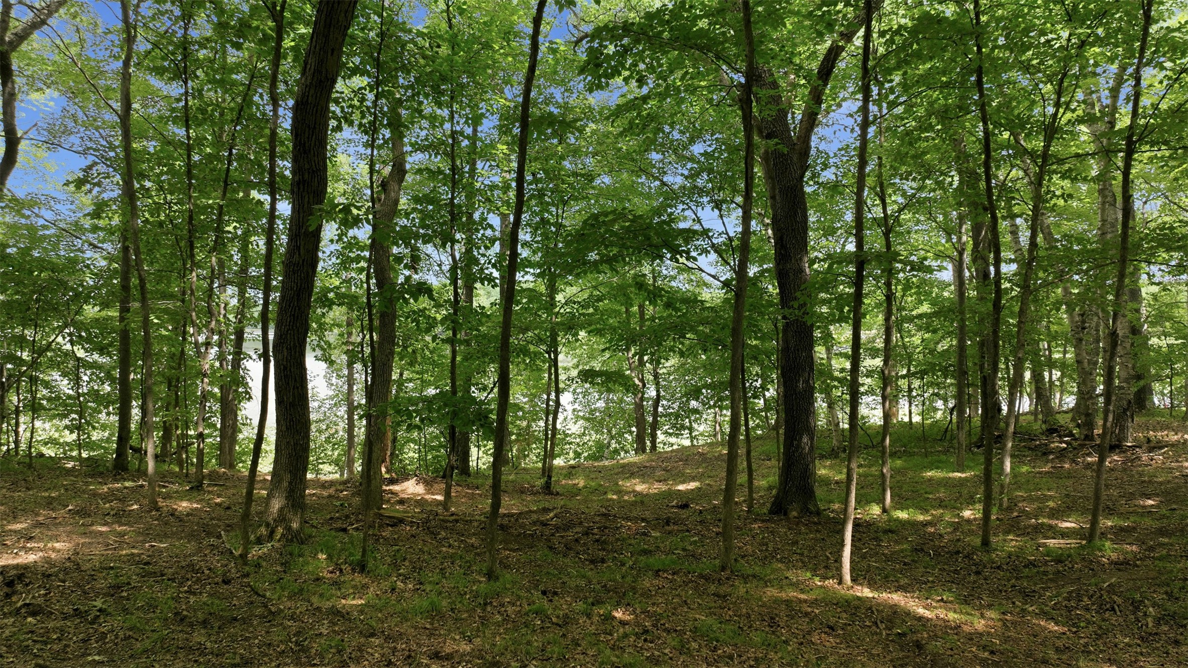 Lot 7 Peace Lane Property Photo 9
