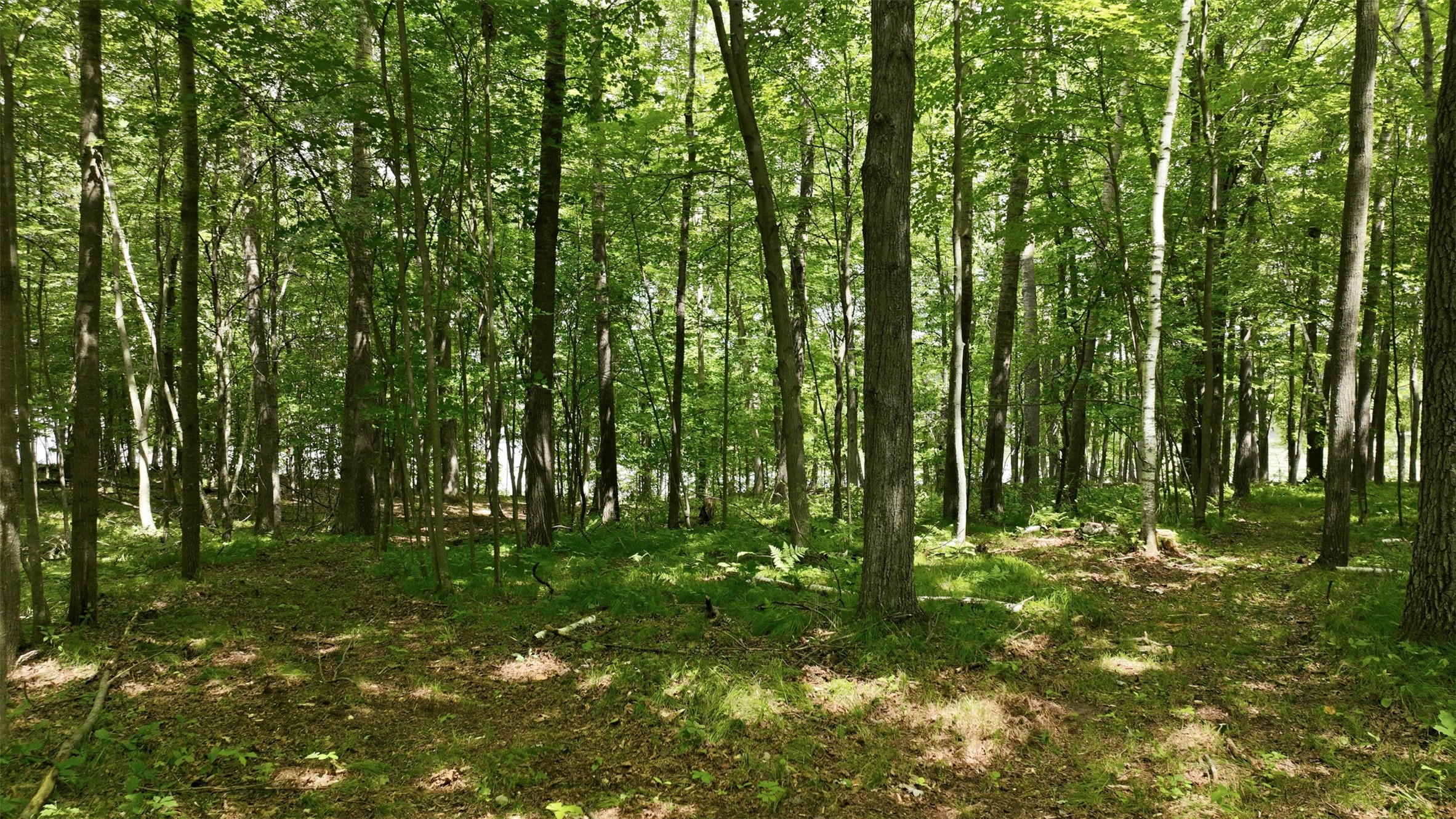 Lot 7 Peace Lane Property Photo 10
