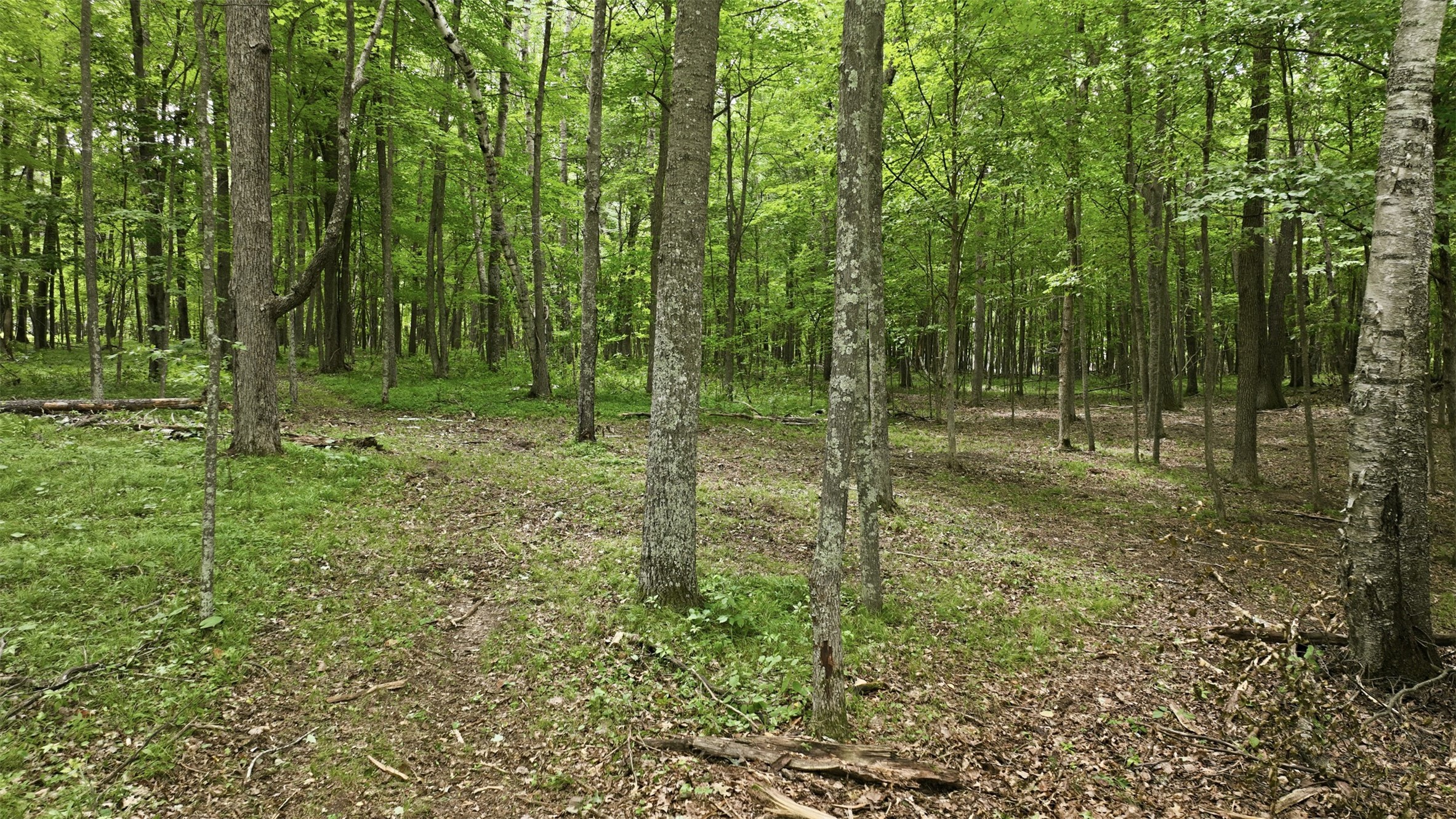 Lot 7 Peace Lane Property Photo 12
