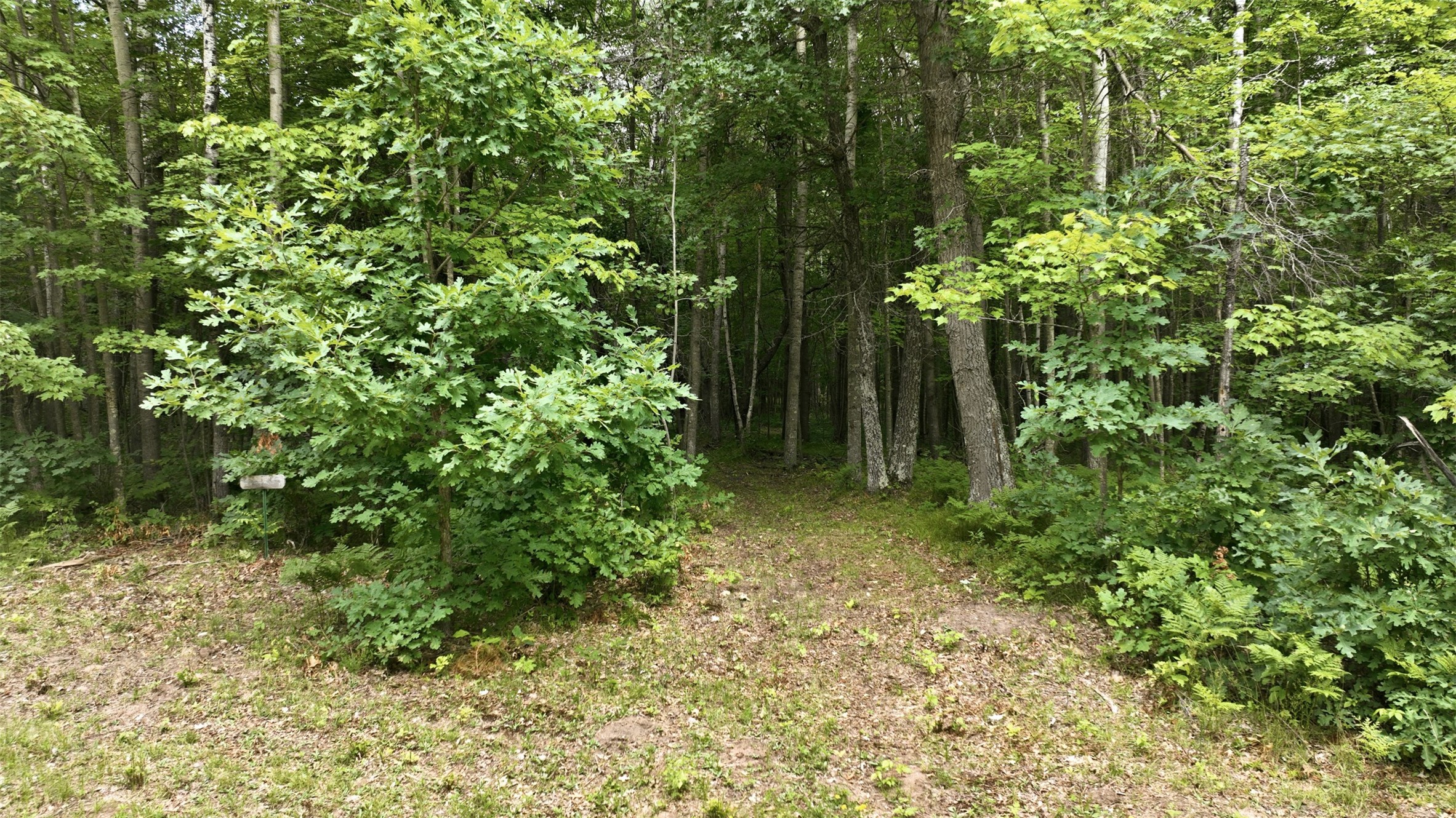 Lot 7 Peace Lane Property Photo 13