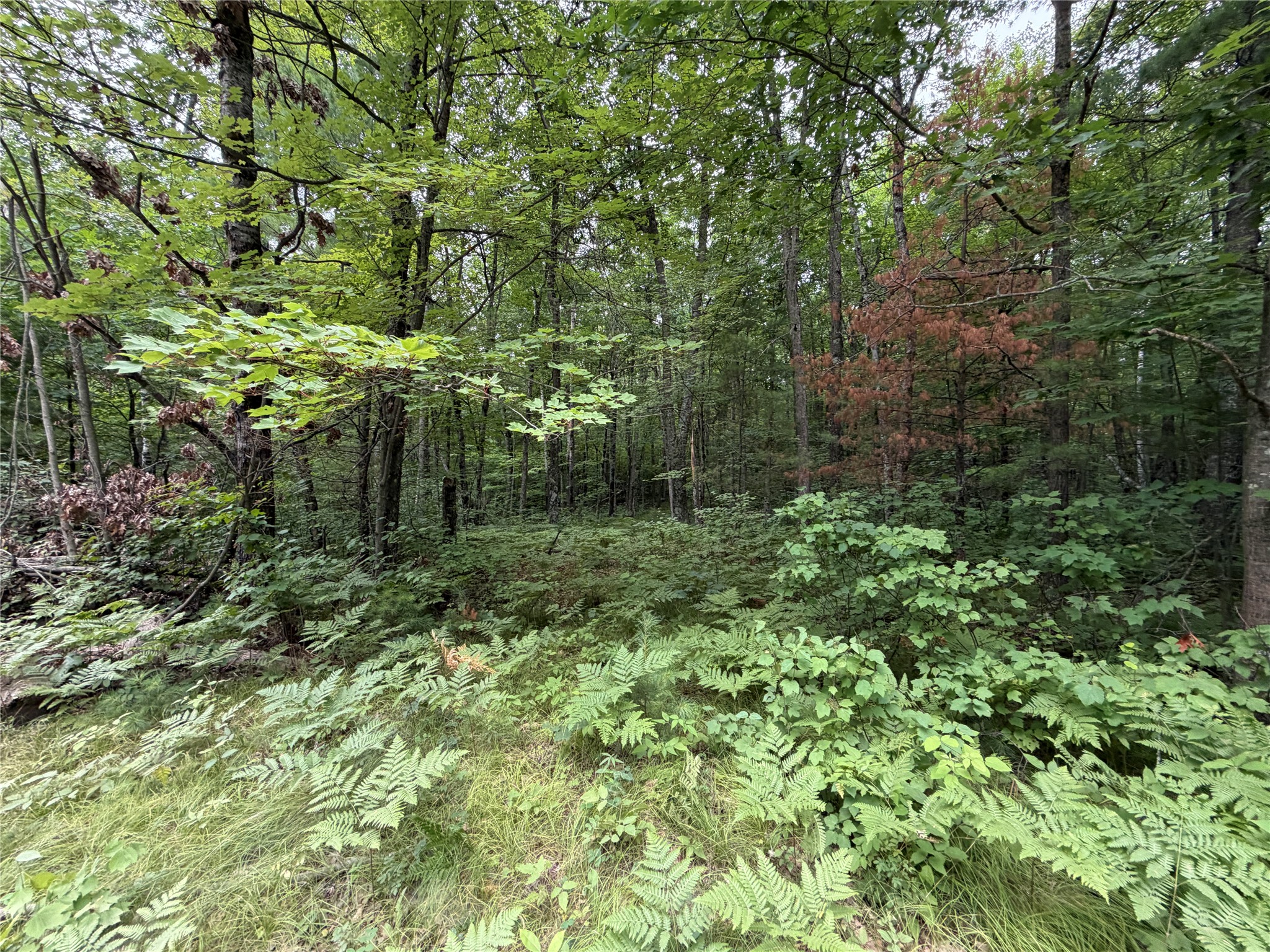 Lot 1 Nor Wis Road Property Photo 1