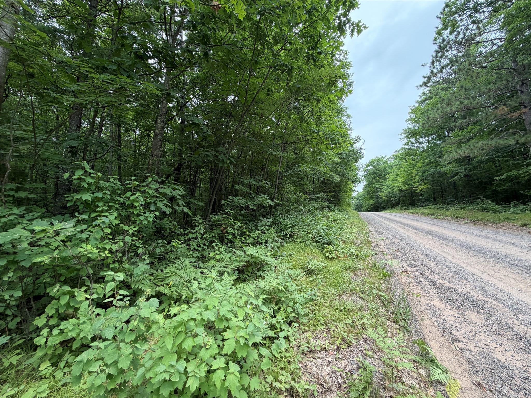 Lot 1 Nor Wis Road Property Photo 2