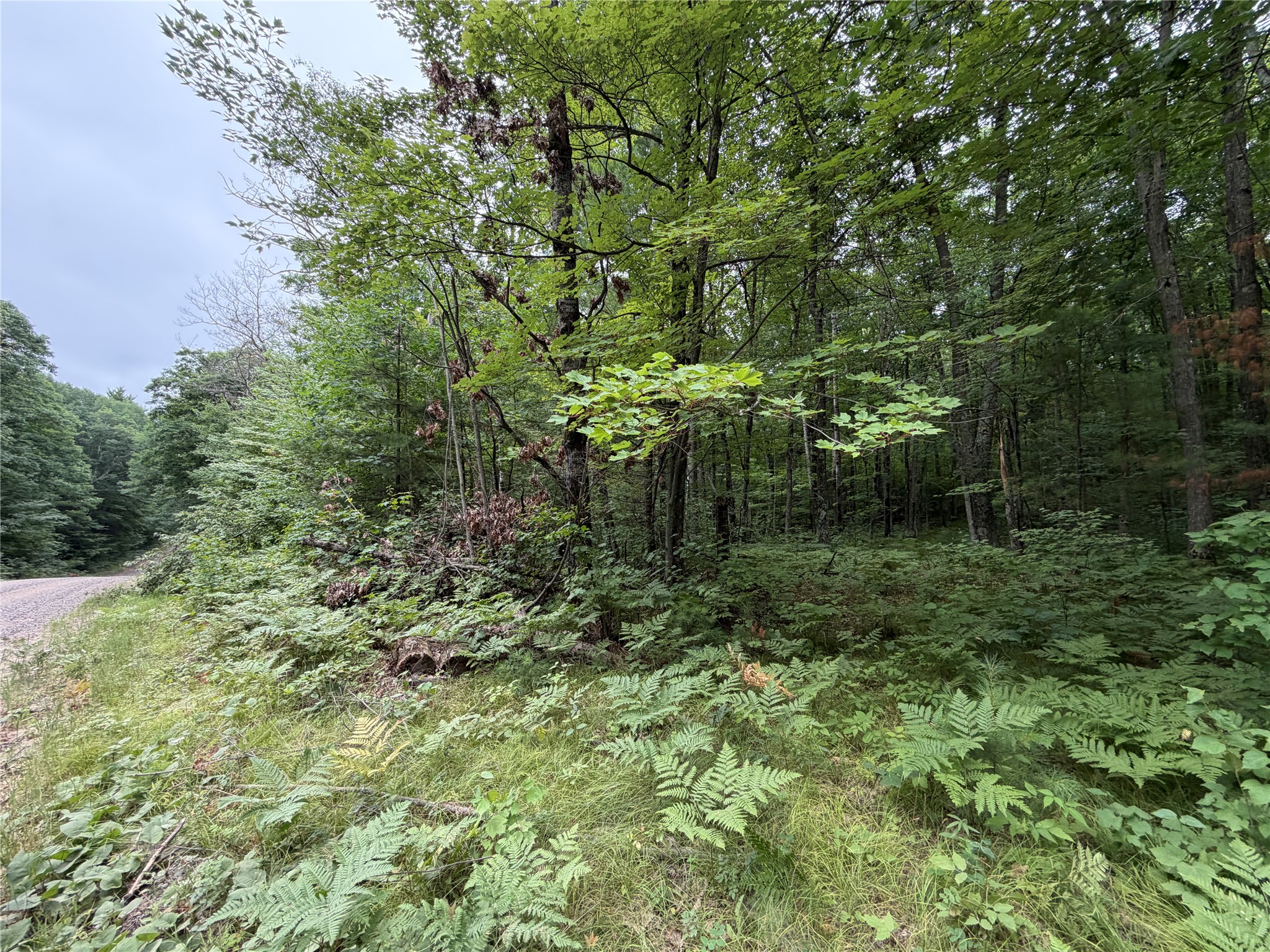 Lot 1 Nor Wis Road Property Photo 3