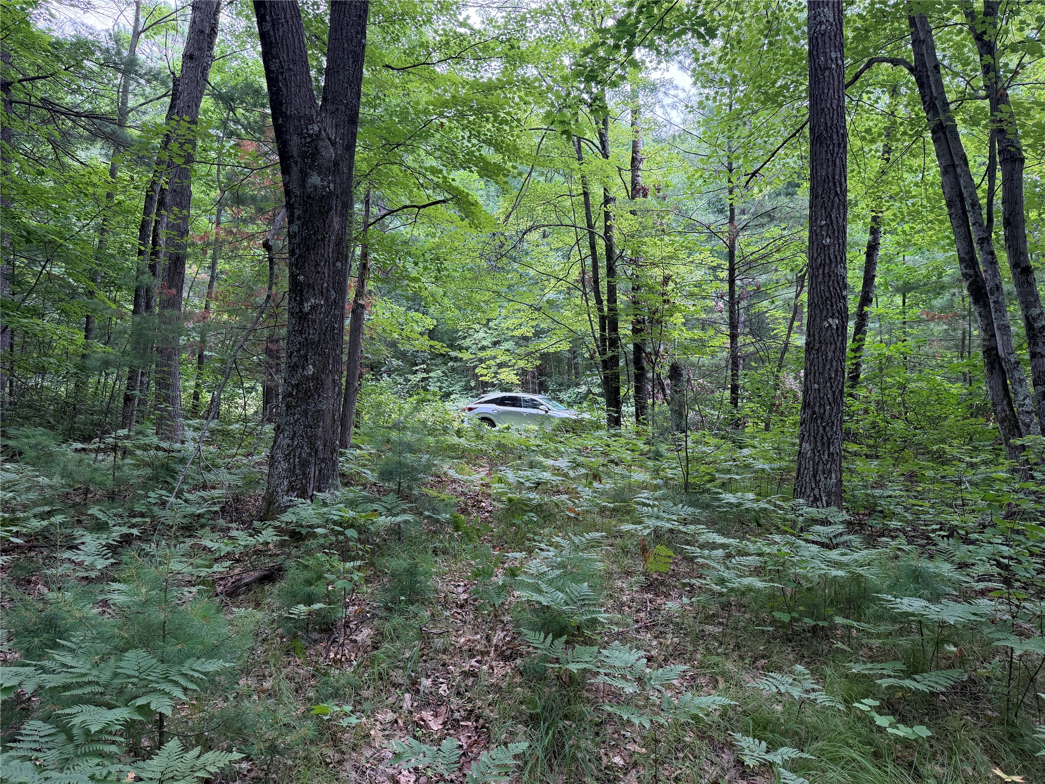 Lot 1 Nor Wis Road Property Photo 4