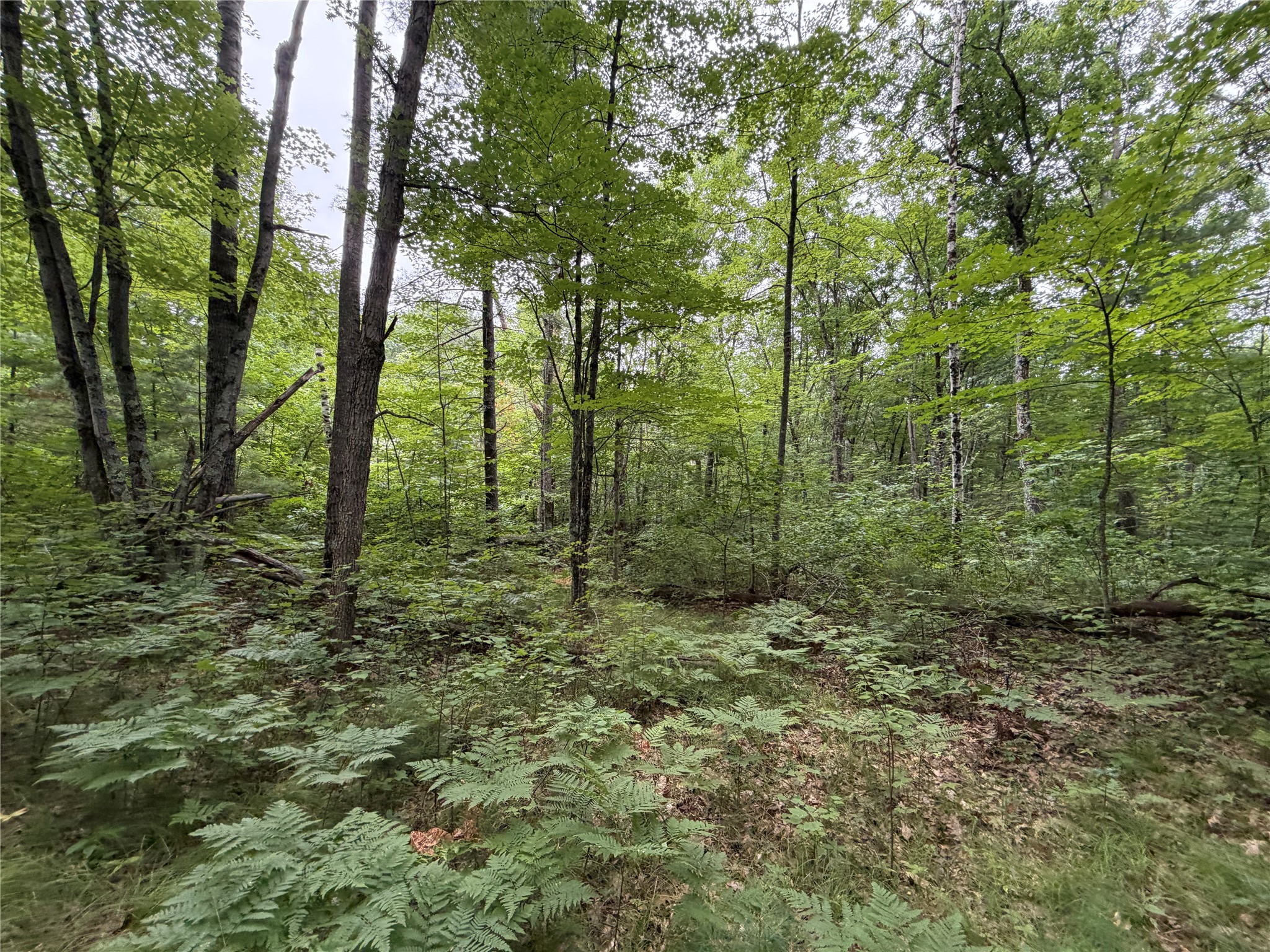 Lot 1 Nor Wis Road Property Photo 5
