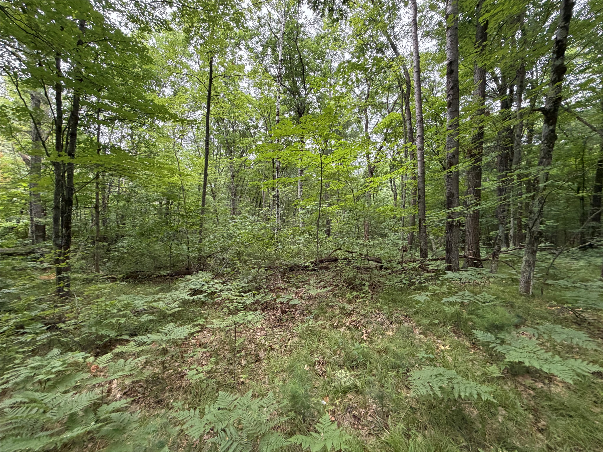 Lot 1 Nor Wis Road Property Photo 6