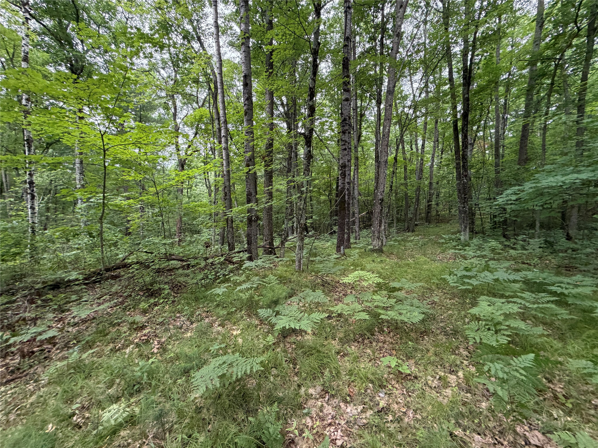 Lot 1 Nor Wis Road Property Photo 7