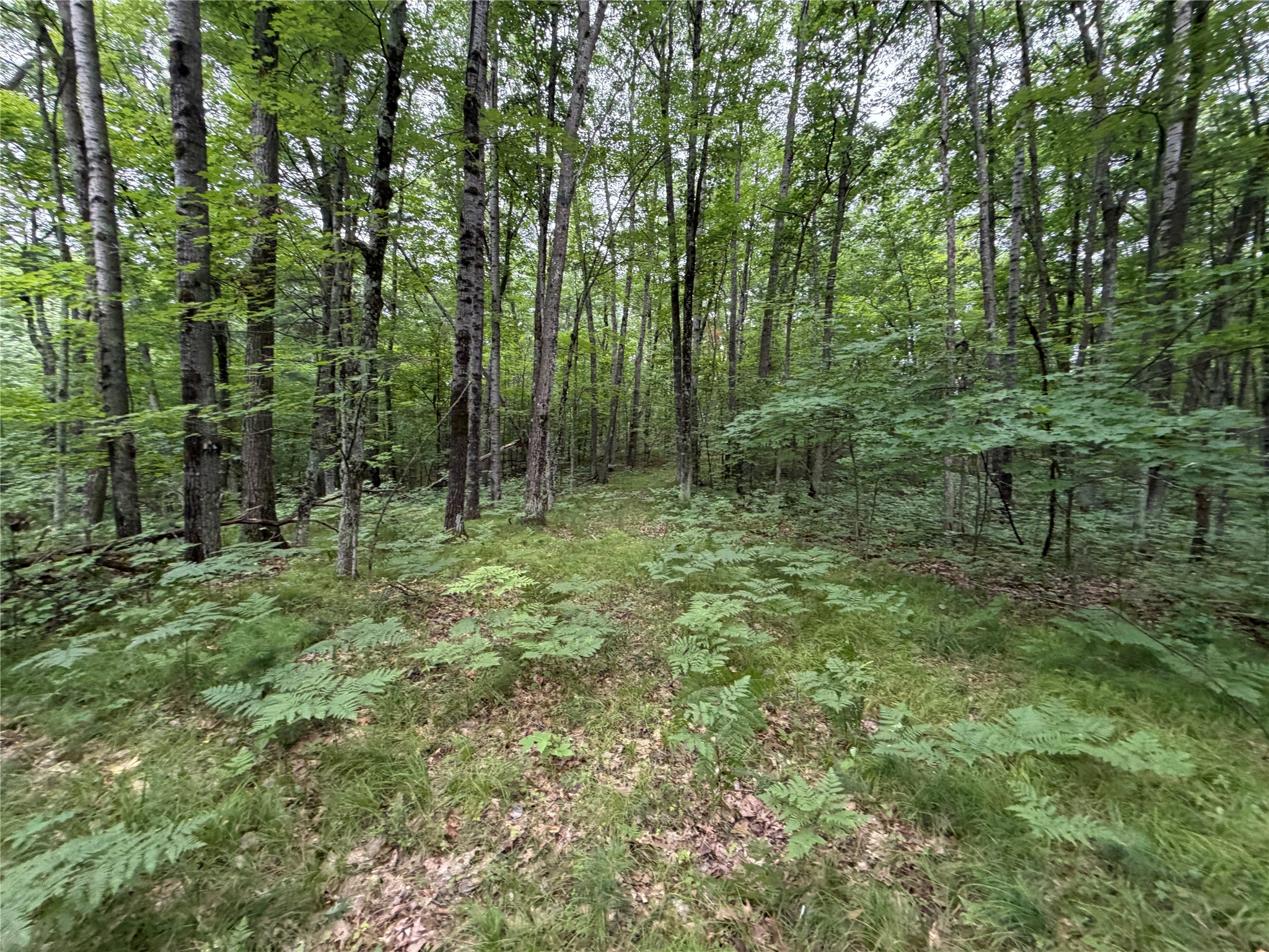 Lot 1 Nor Wis Road Property Photo 8