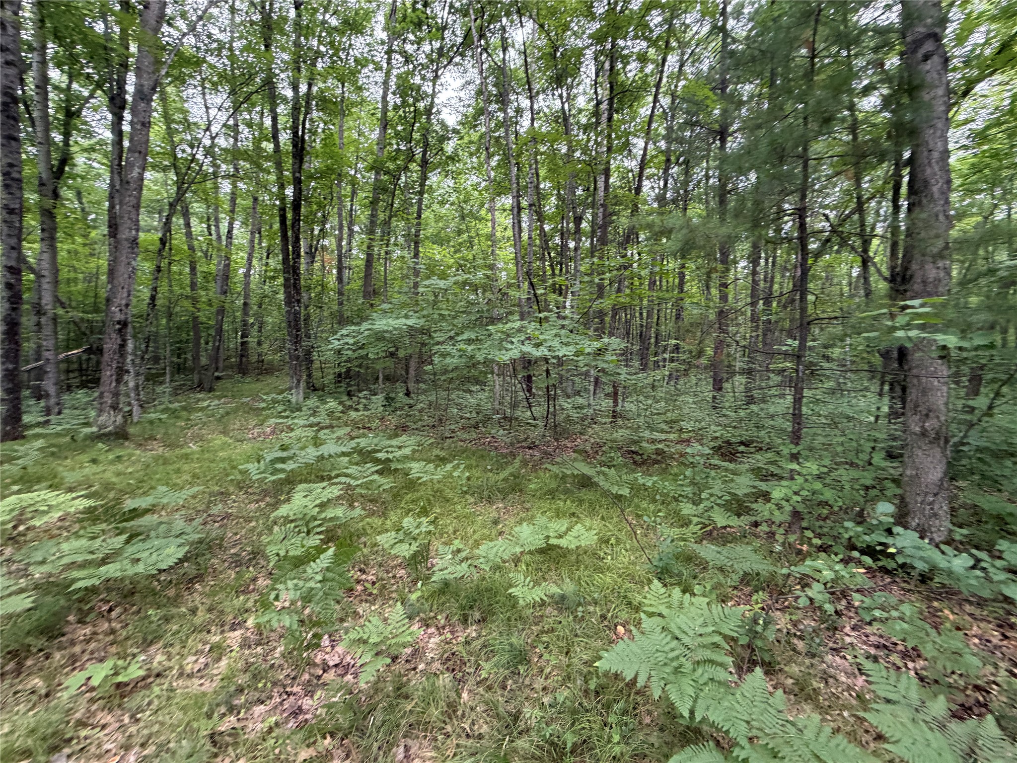 Lot 1 Nor Wis Road Property Photo 9
